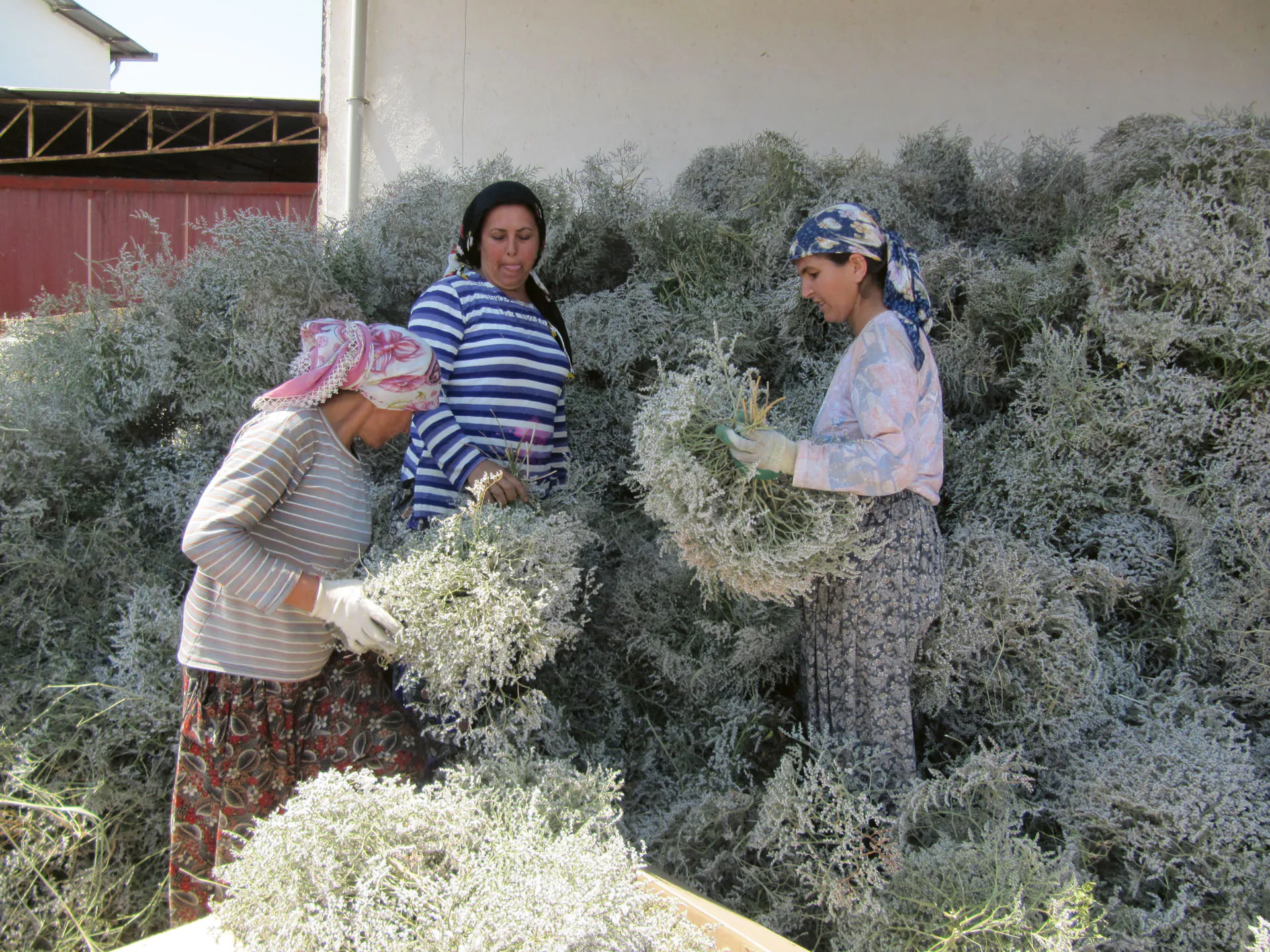 Turkish-made products — handcrafted using pine cones, butcher’s broom and dried flowers
