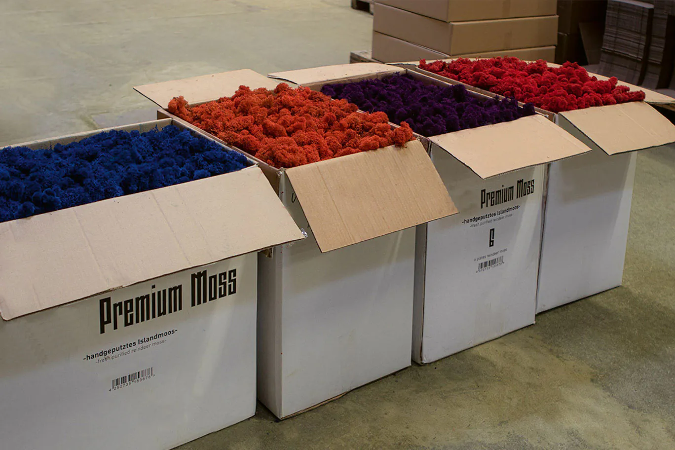 Hand-cleaned Iceland moss in premium quality — dyed throughout in our own colour shades