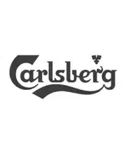 Carlsberg: a client case study