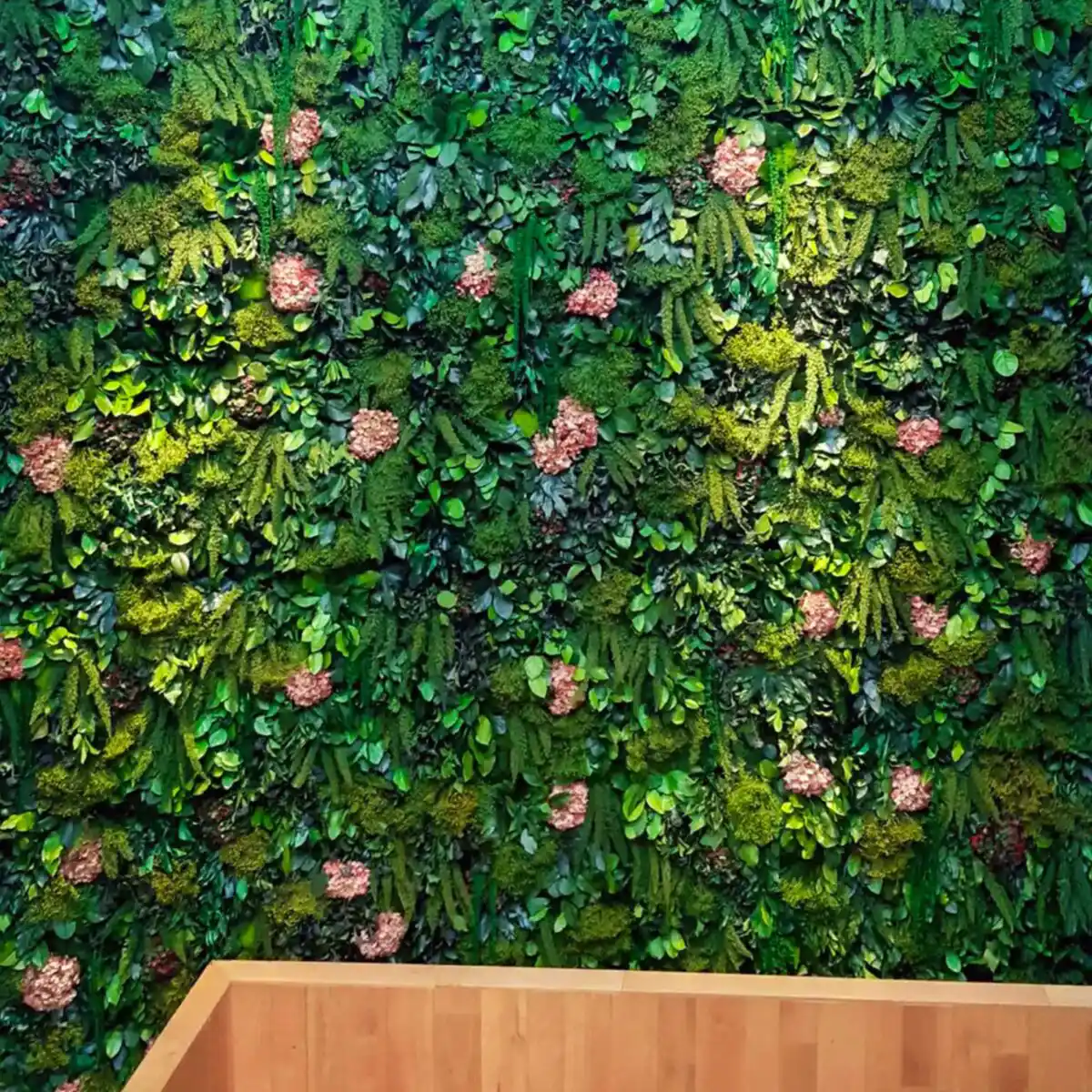 Preserved plants — Material structure