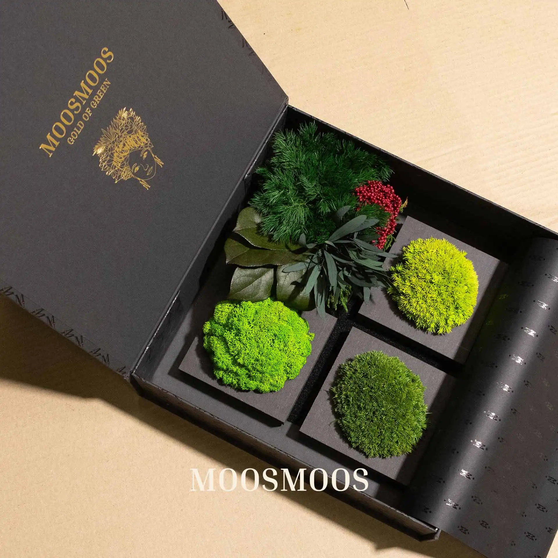 Opened MOOSMOOS sample box containing samples of Iceland moss, Pole Moss and jungle plants