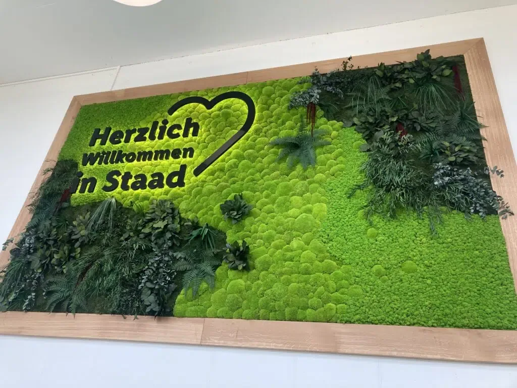 Project photo — Alexandra Reddich · Lidl Switzerland · 14 August 2023