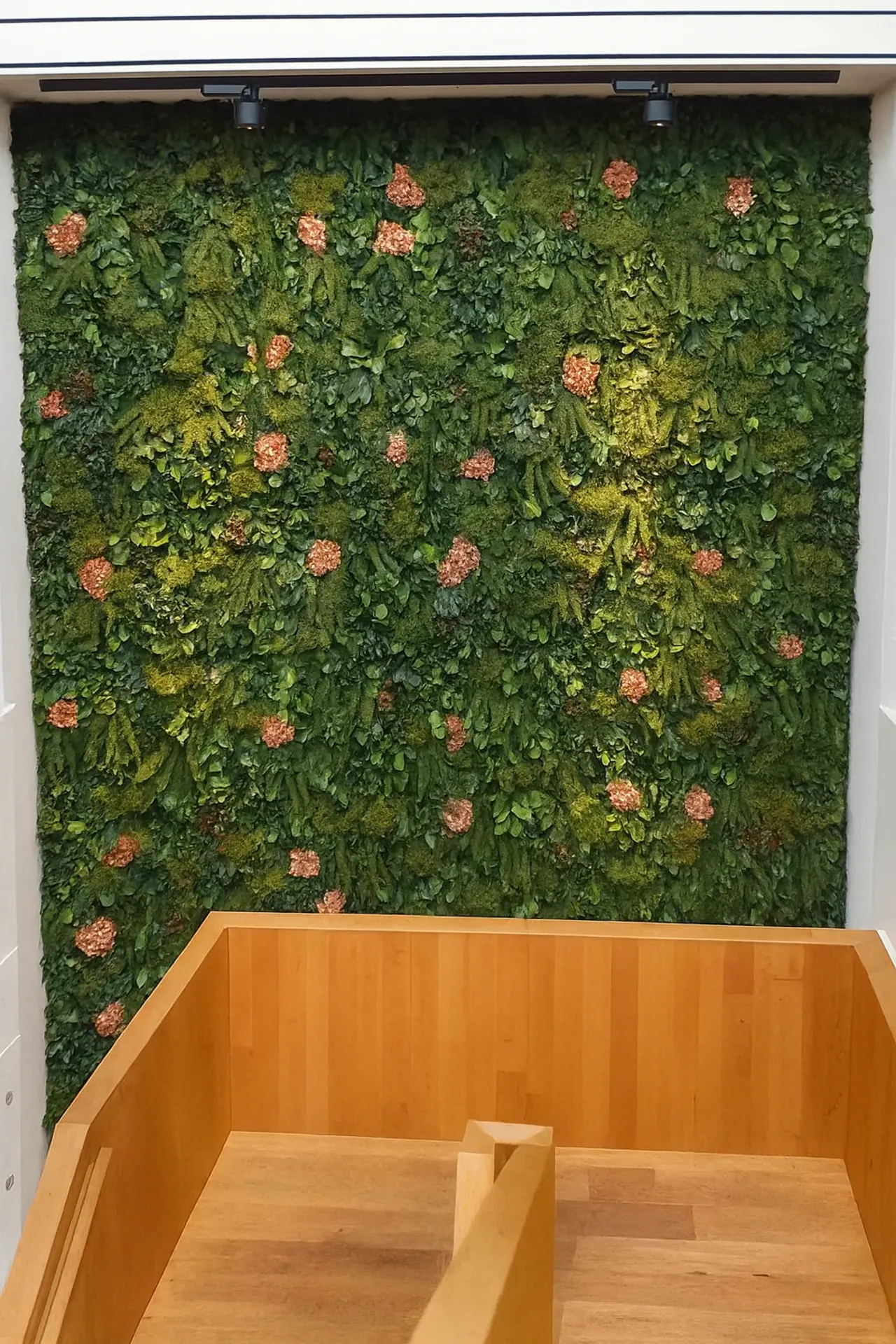 Flower wall: Preserved flowers — Wall greenery by MOOSMOOS