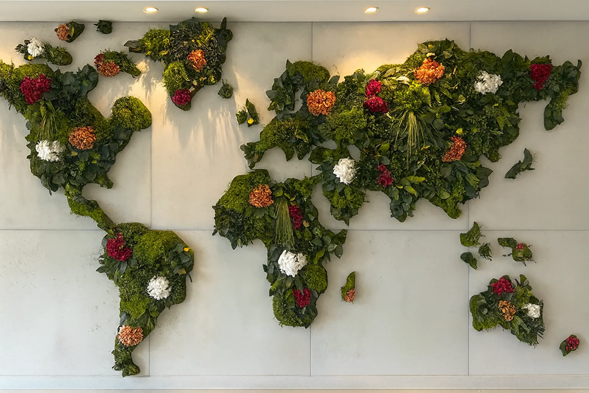 Moss picture World Map: Moss Flowers — Moss Pictures by MOOSMOOS