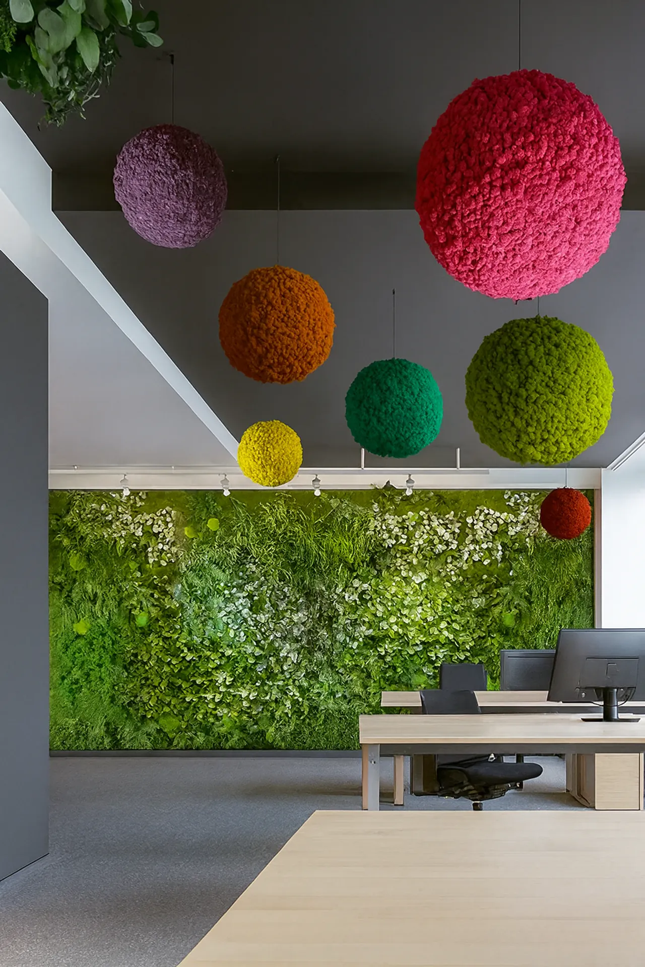 Hanging Garden: A Modern Office Reception Area — Ceiling greenery by MOOSMOOS