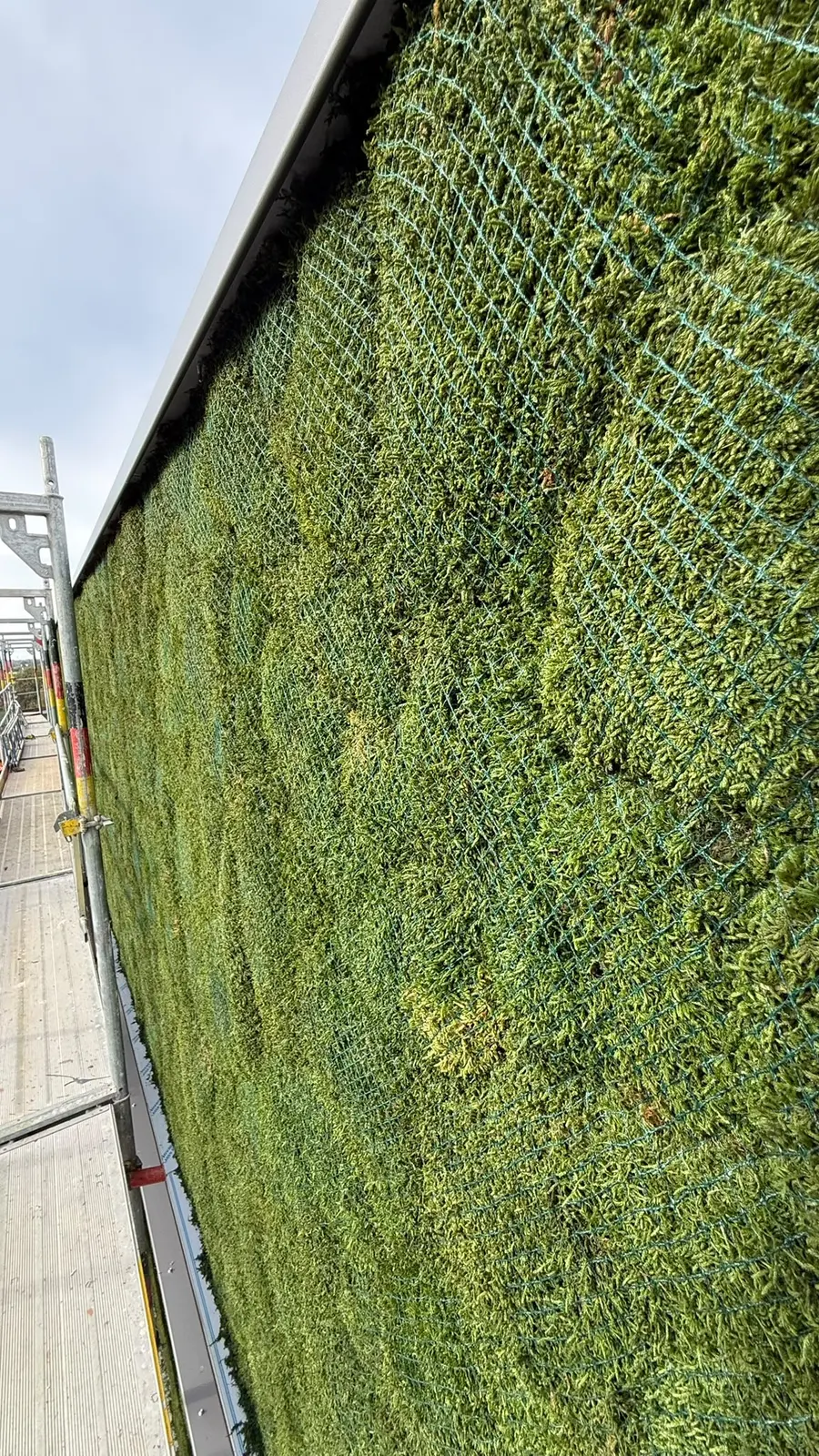 Close-up of the moss-covered surface showing the netting that secures it to the façade