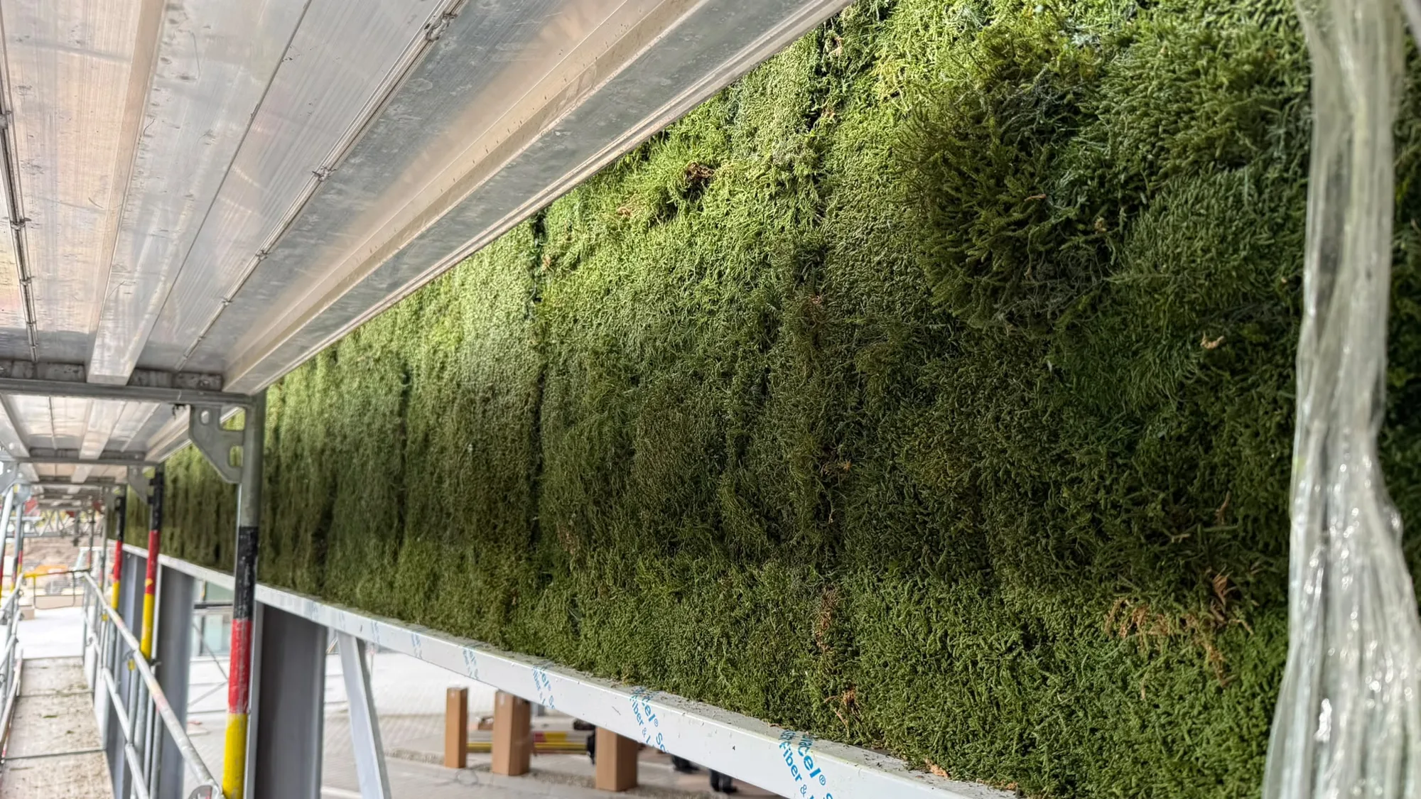 A close-up of the moss-covered area — each strip laid by hand