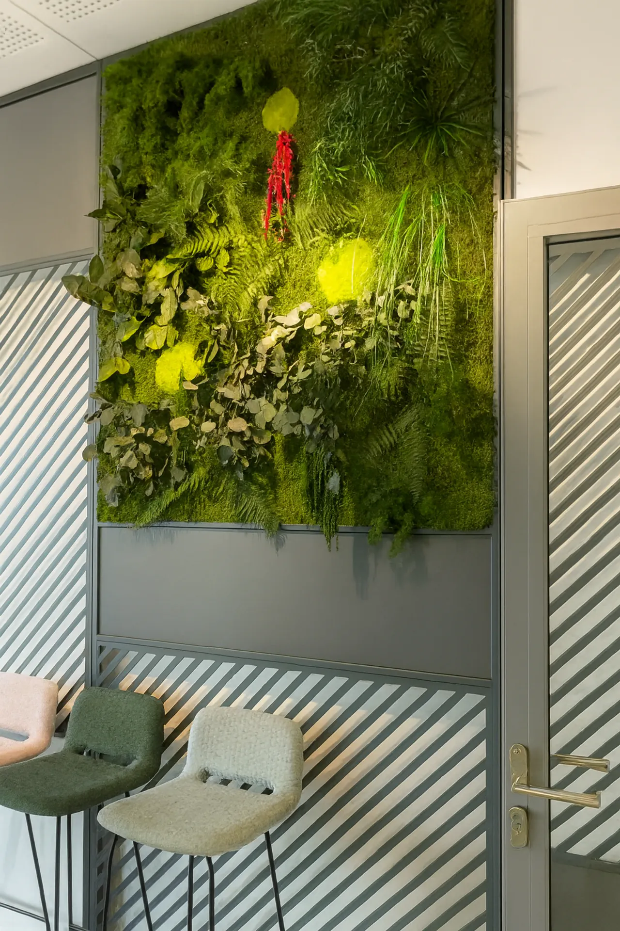 Moss Picture Office Moss Picture Accent — Moss Pictures by MOOSMOOS