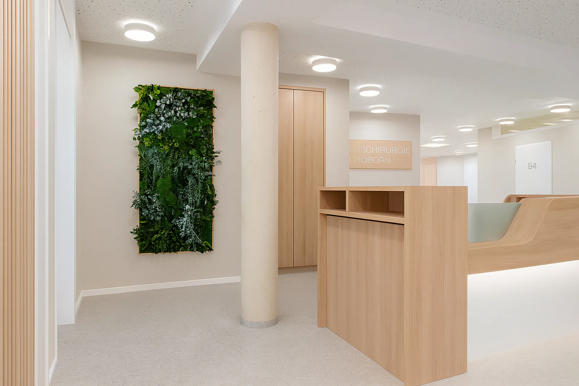 Moss pictures in the surgery reception area — Moss pictures by MOOSMOOS