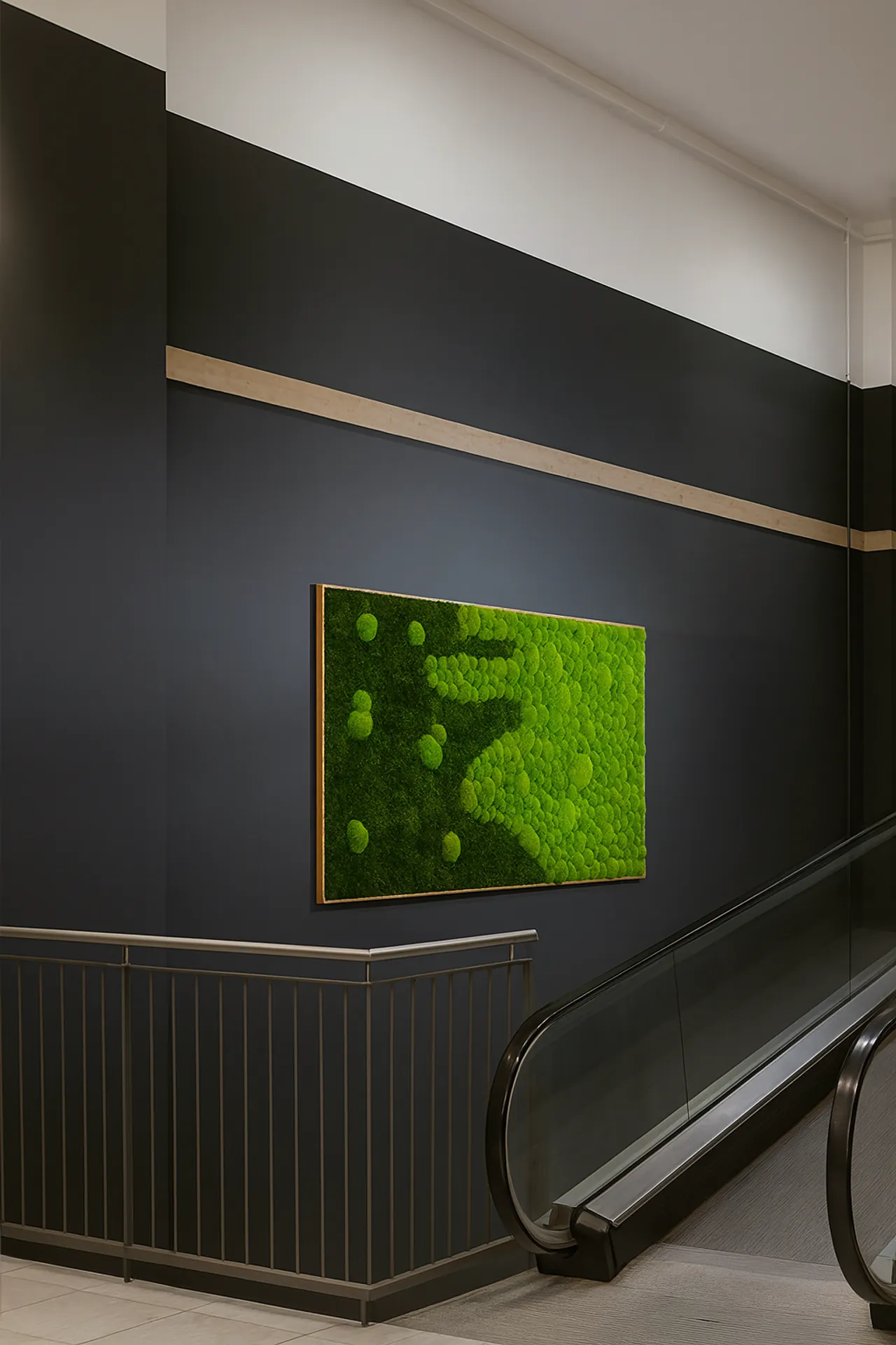 Moss pictures in a shopping centre — Moss pictures by MOOSMOOS