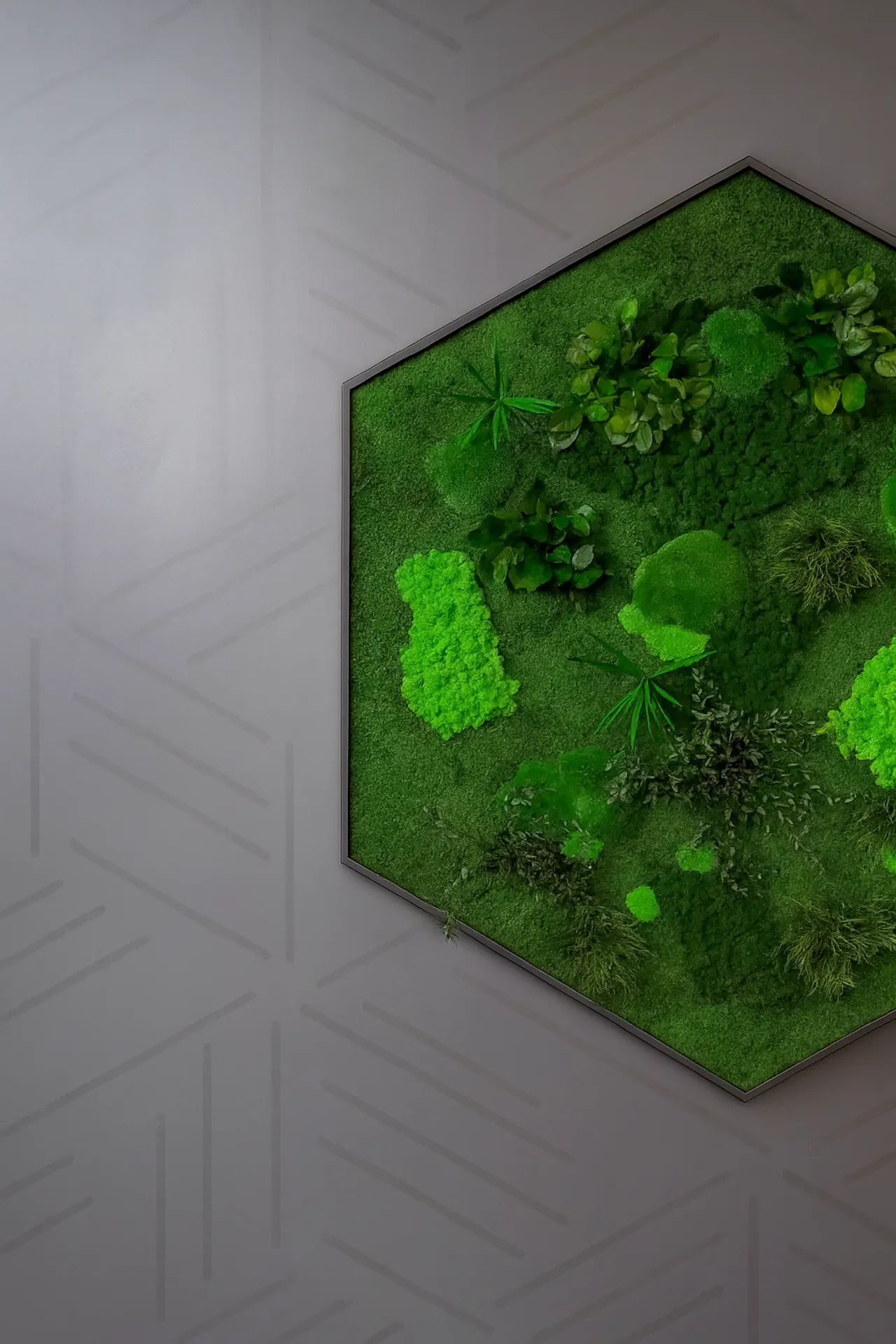 Hexagon Moss Picture: Modern Wall Decoration — Moss Pictures by MOOSMOOS