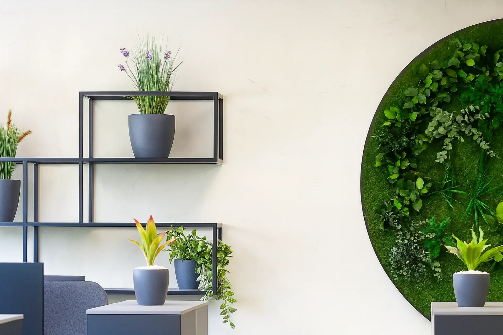 Modern Office Green Wall Moss Pictures — Moss Pictures by MOOSMOOS