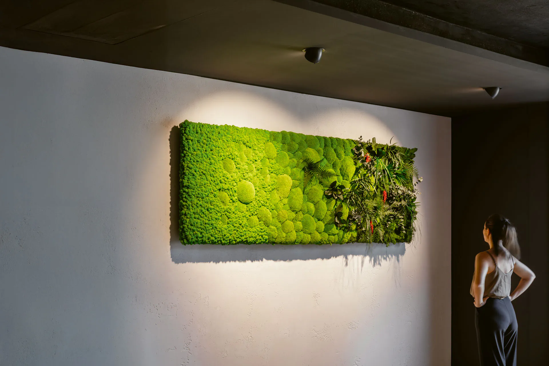 Moss pictures made from real moss — a handmade collection by MOOSMOOS manufactory on display in a gallery