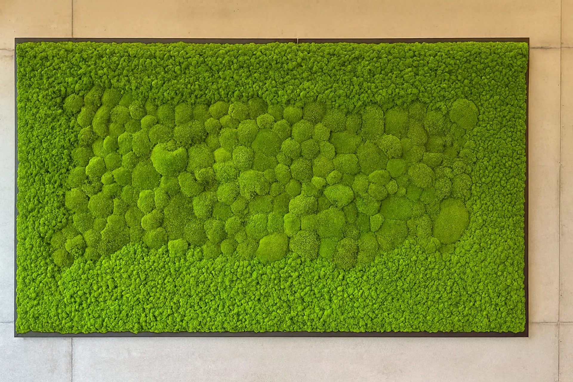 Modern moss picture wall installation for the office — Moss Pictures by MOOSMOOS