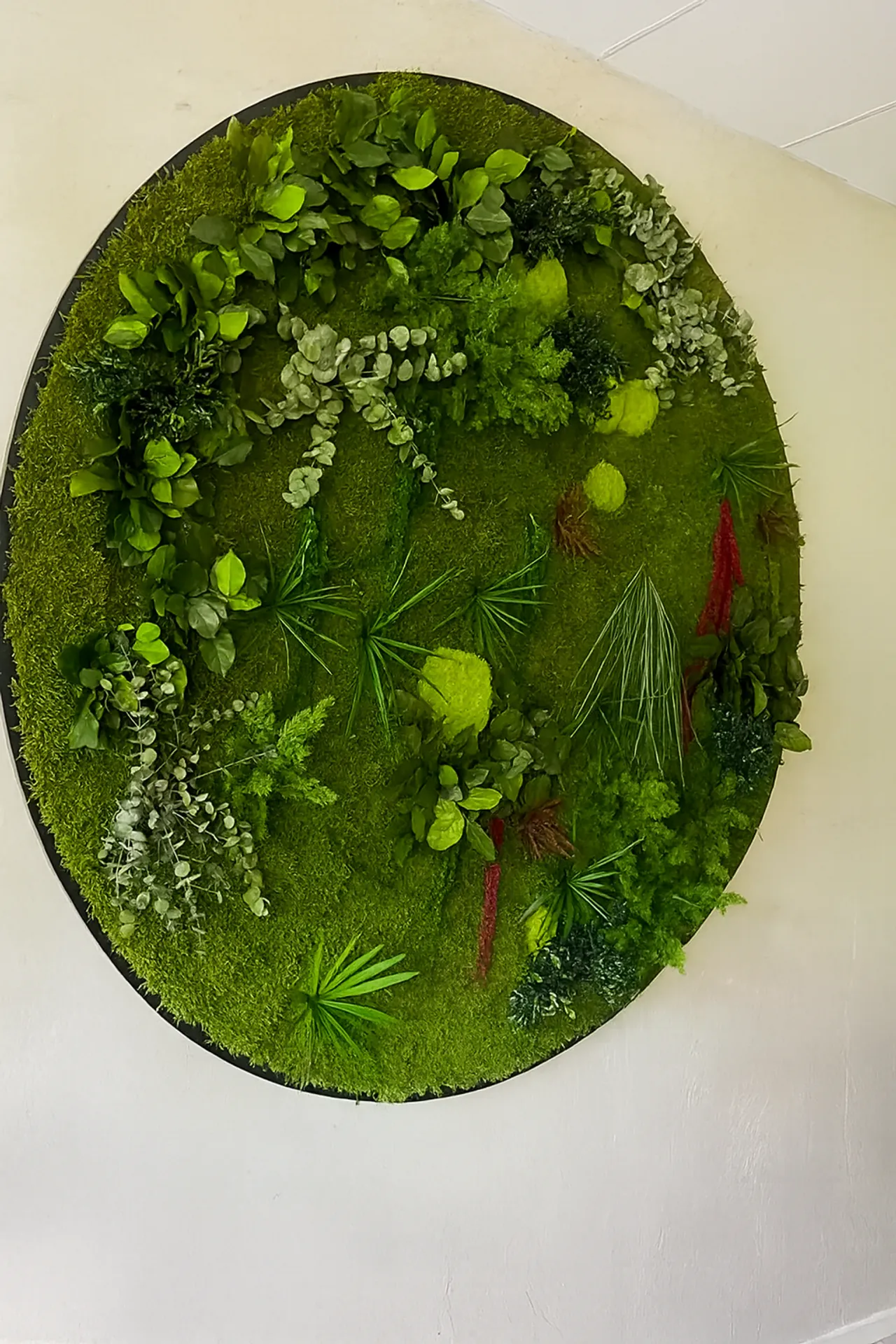 Moss picture created using a moss gradient