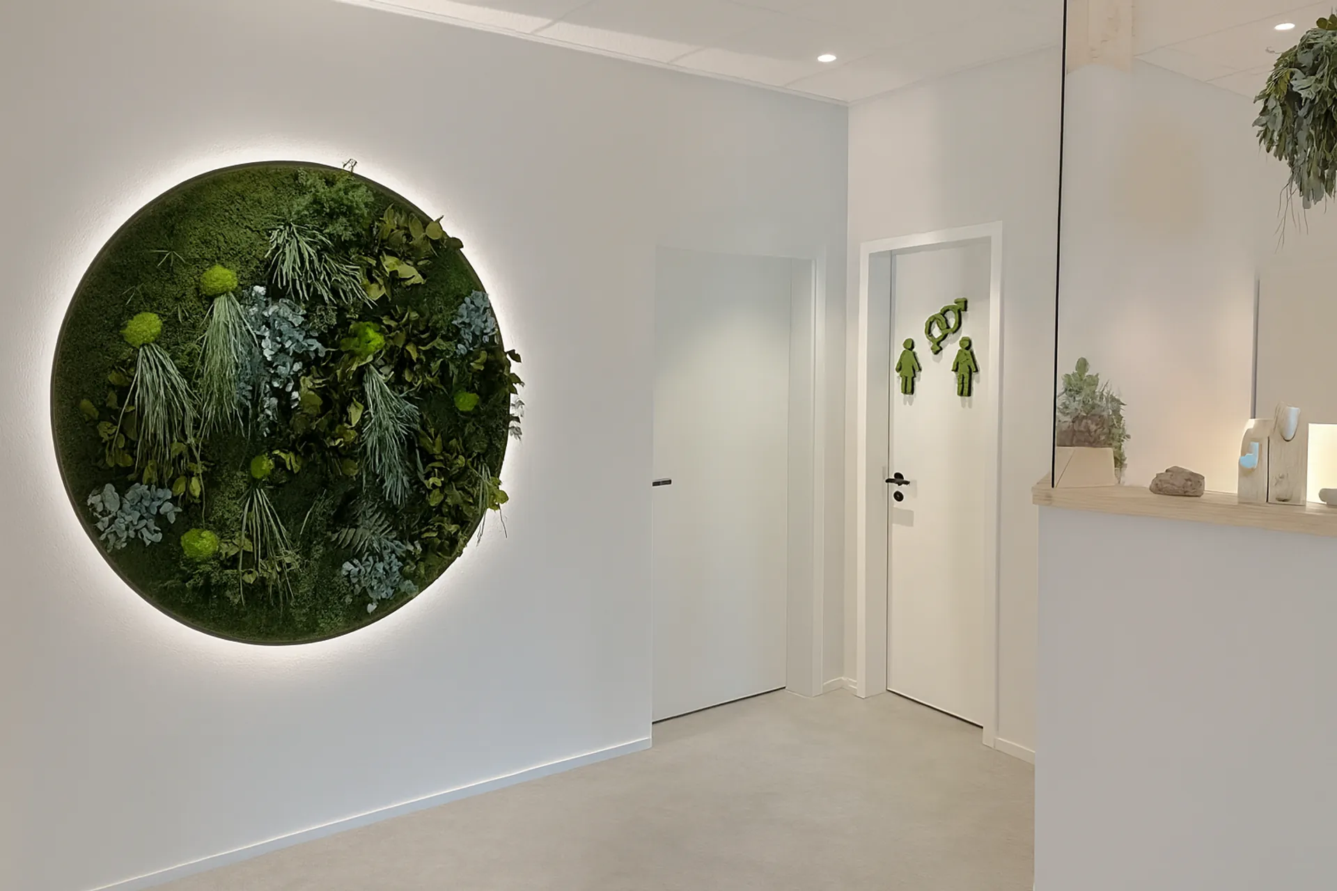 Round Illuminated Moss Picture for the Office Reception Area — Moss Pictures by MOOSMOOS