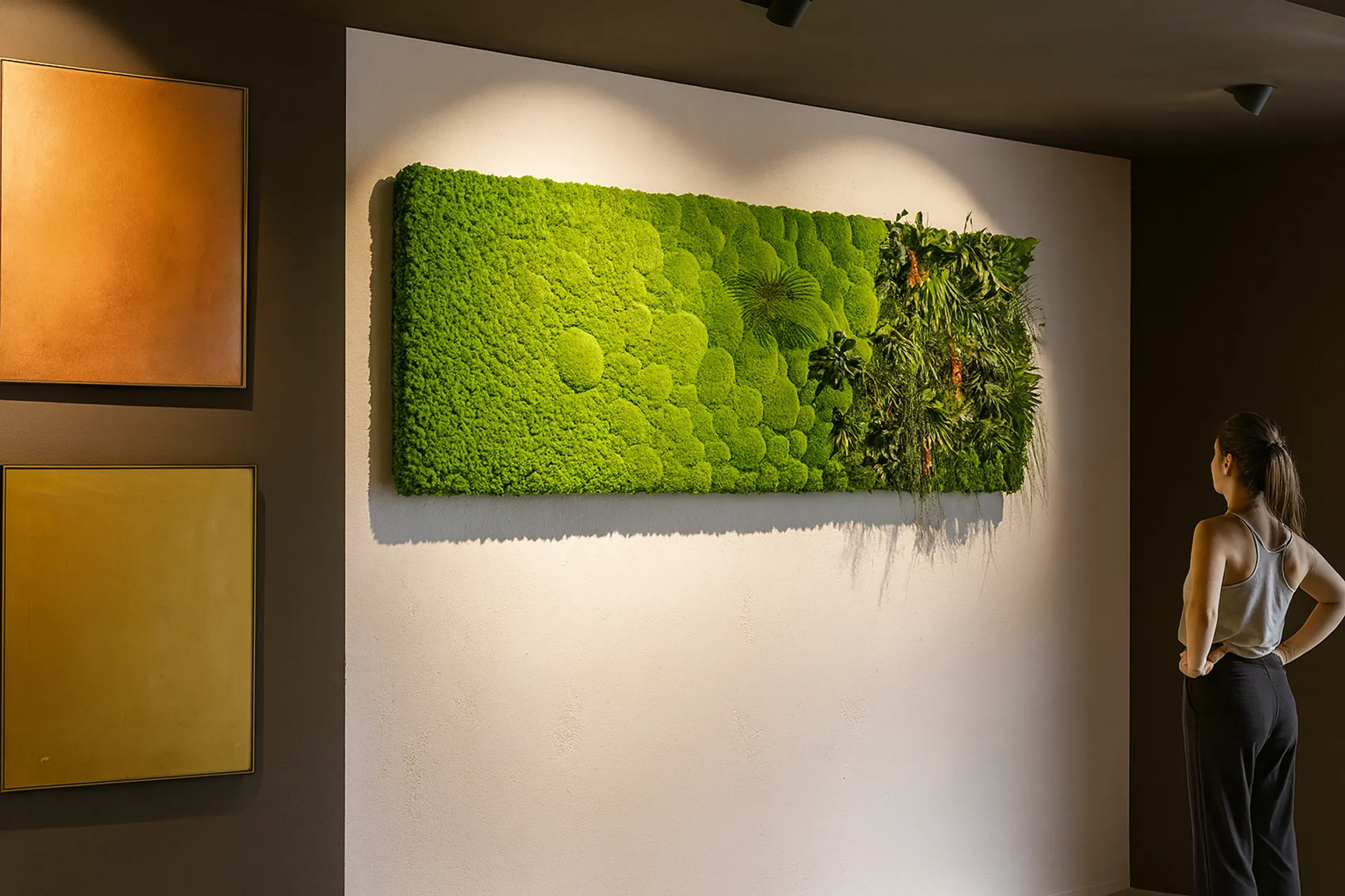 Moss Picture Showroom: Modern Wall Decor — Moss Pictures by MOOSMOOS