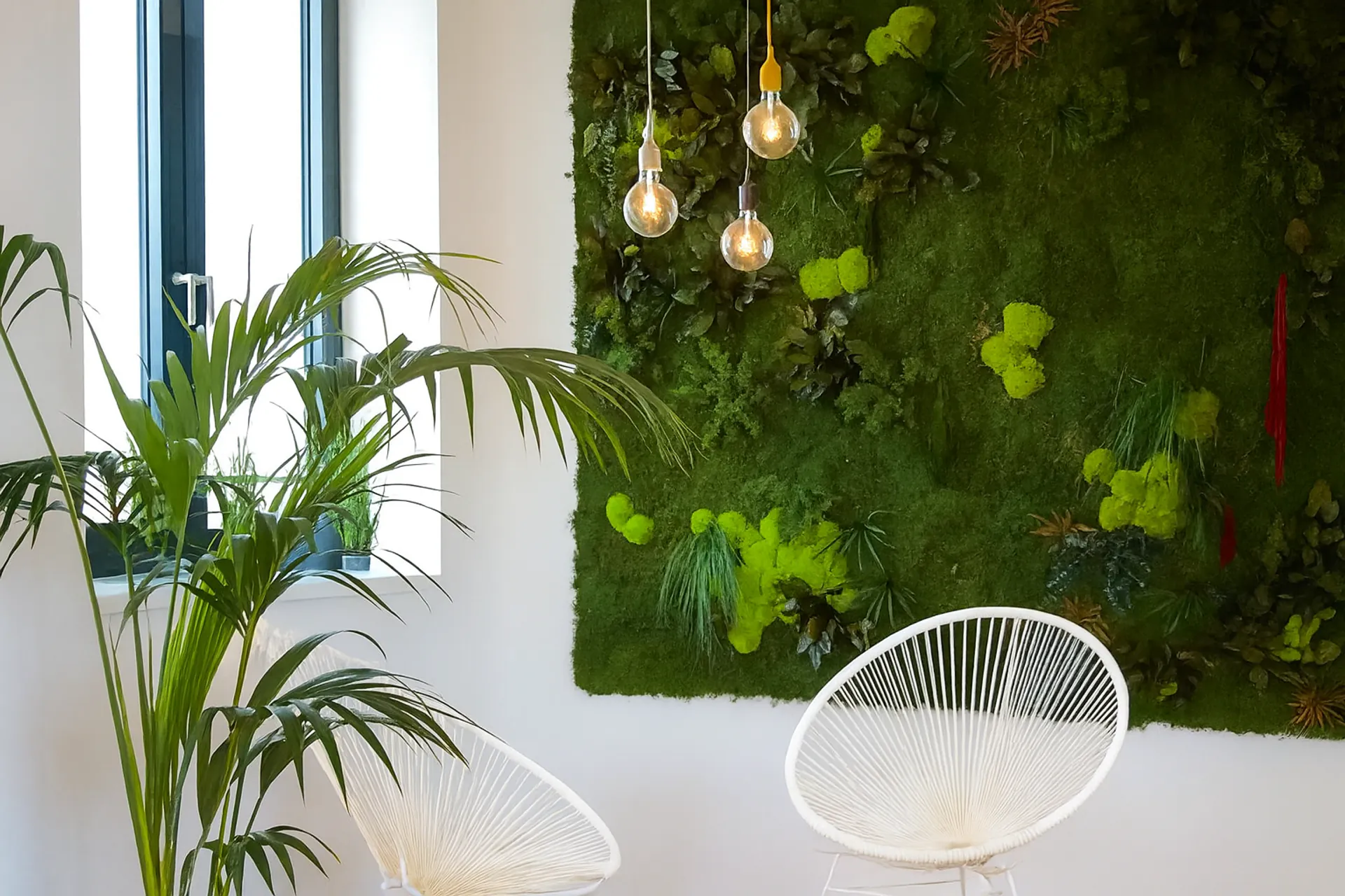 Hanging Garden Office Modern — Ceiling greenery by MOOSMOOS