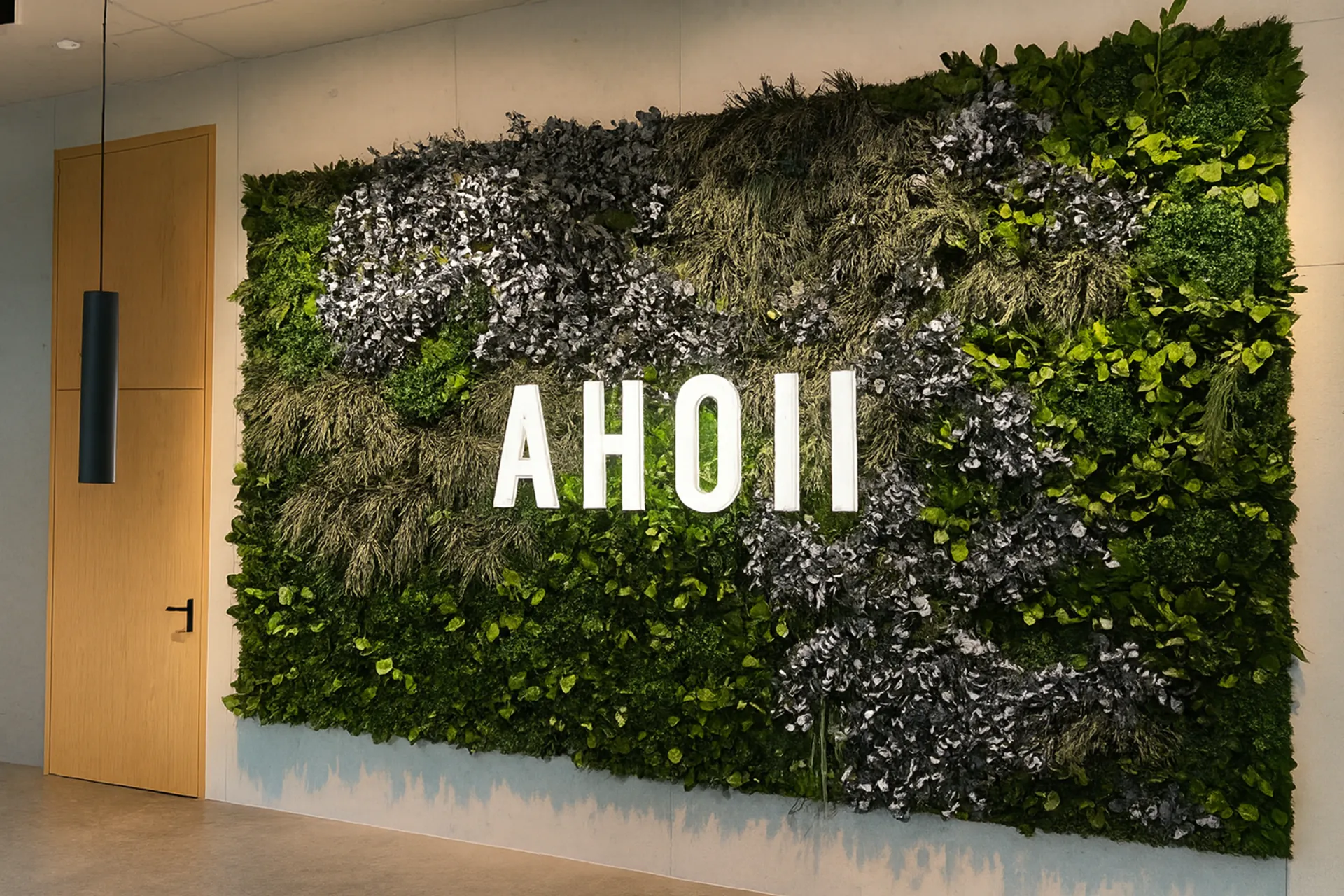 Logo made of moss at Ahoi Reception Showroom — Logo made of moss by MOOSMOOS