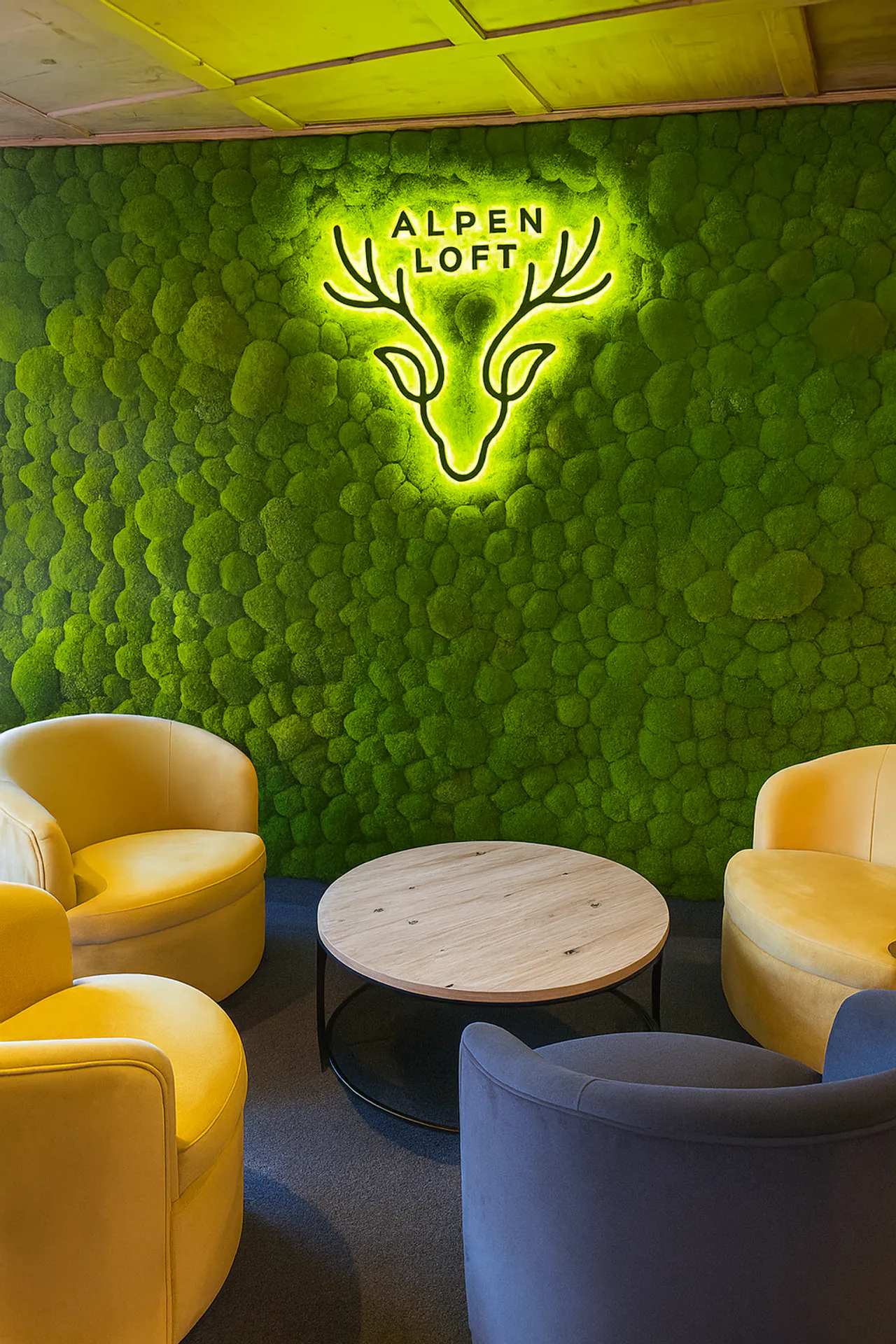 Moss Logo – Moss Logo Reception Office — Moss Logo by MOOSMOOS