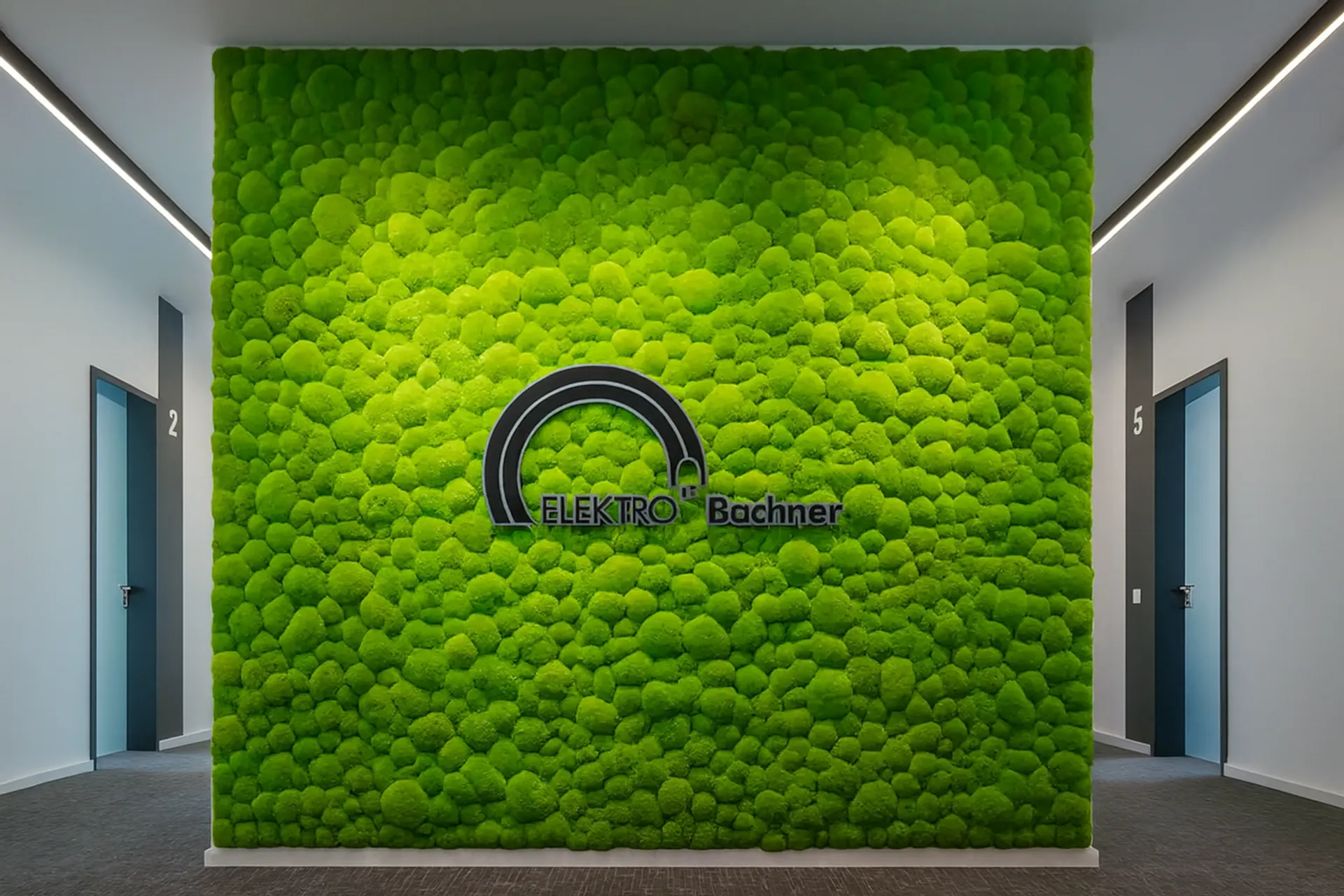 Logo from Moos Showroom: Elektro Bachner logo — Logo from Moos by MOOSMOOS