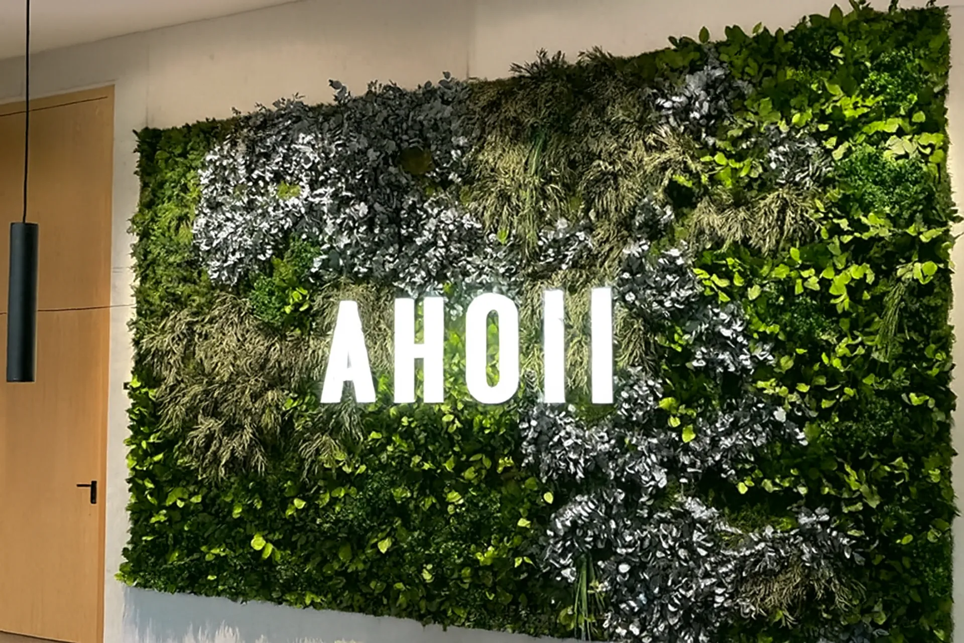Logo made of moss Showroom Moos Logo wall installation — Logo made of moss by MOOSMOOS