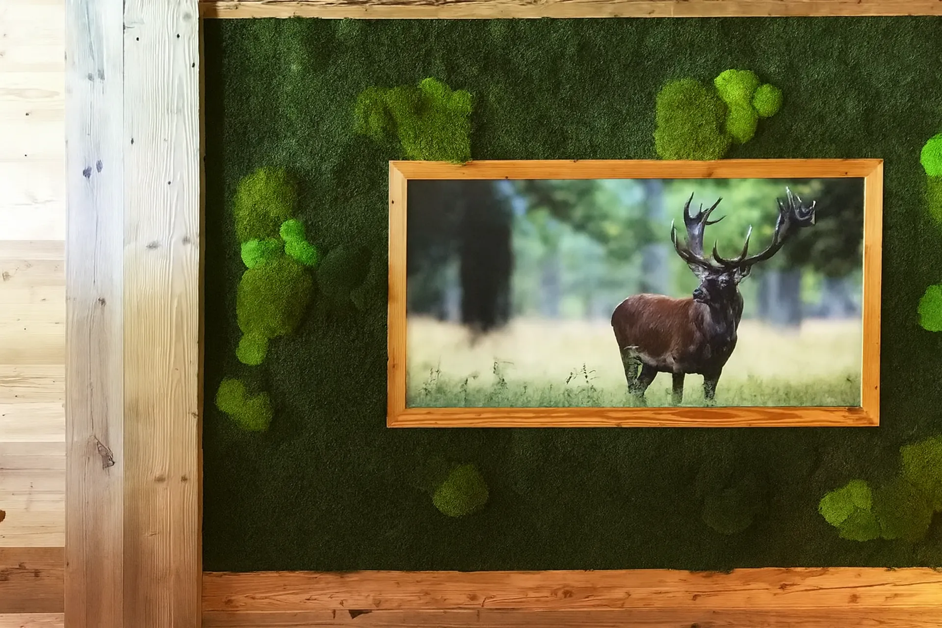 Moss Picture: Deer Moss Frame Showroom — Moss Pictures by MOOSMOOS