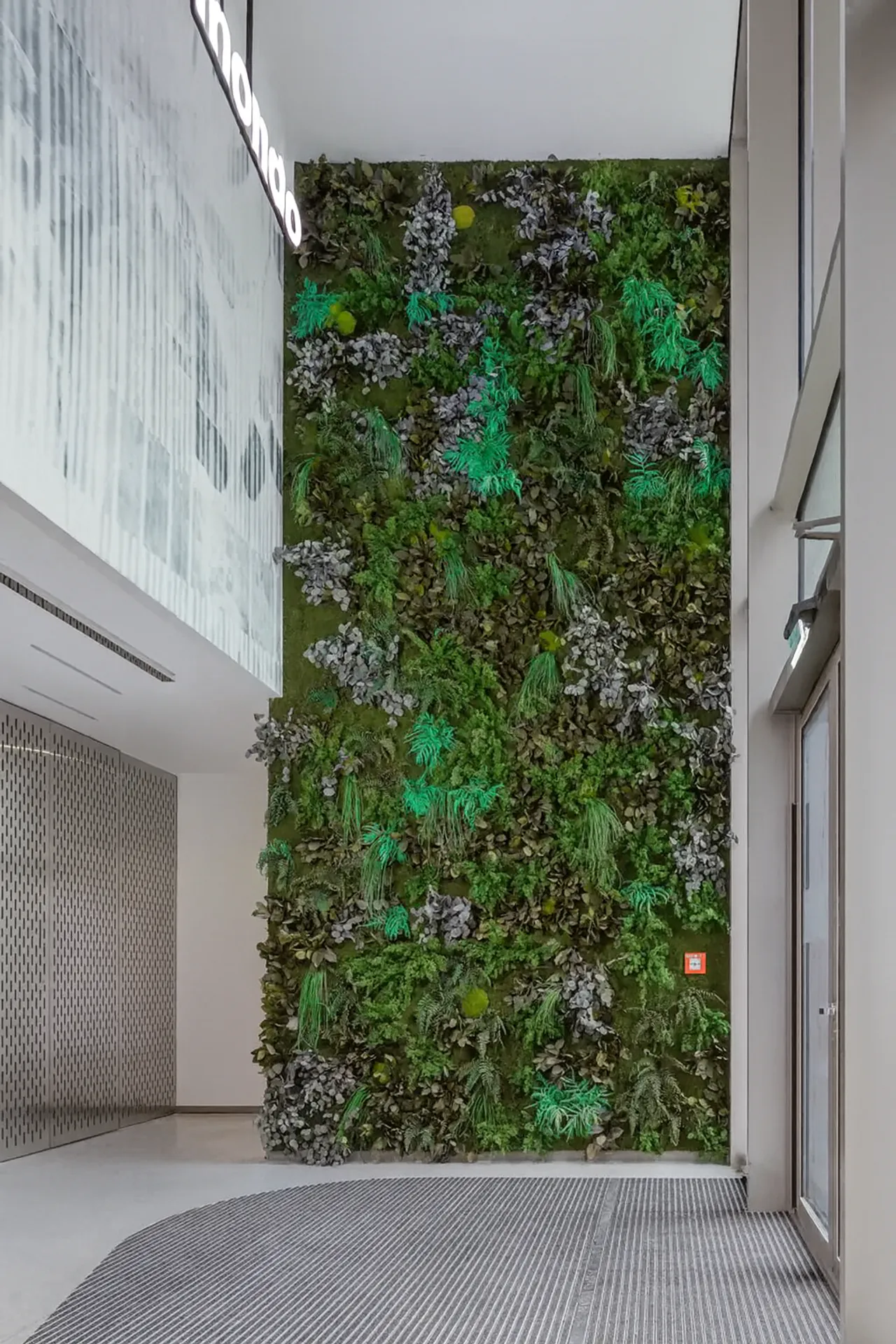 Moss ceiling in a Modern Office Reception Area — Ceiling greenery by MOOSMOOS