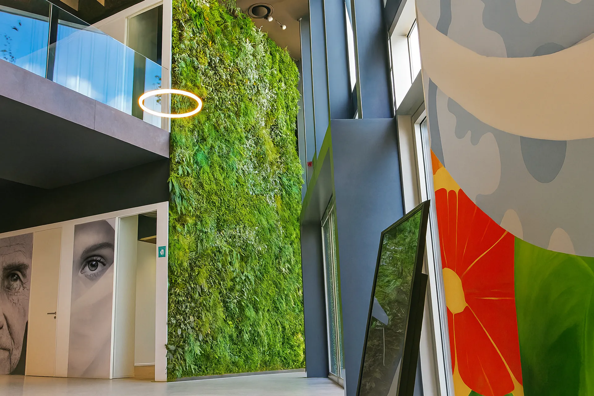 Moss ceiling Showroom: Ceiling greenery in Modern Architecture — Ceiling greenery by MOOSMOOS