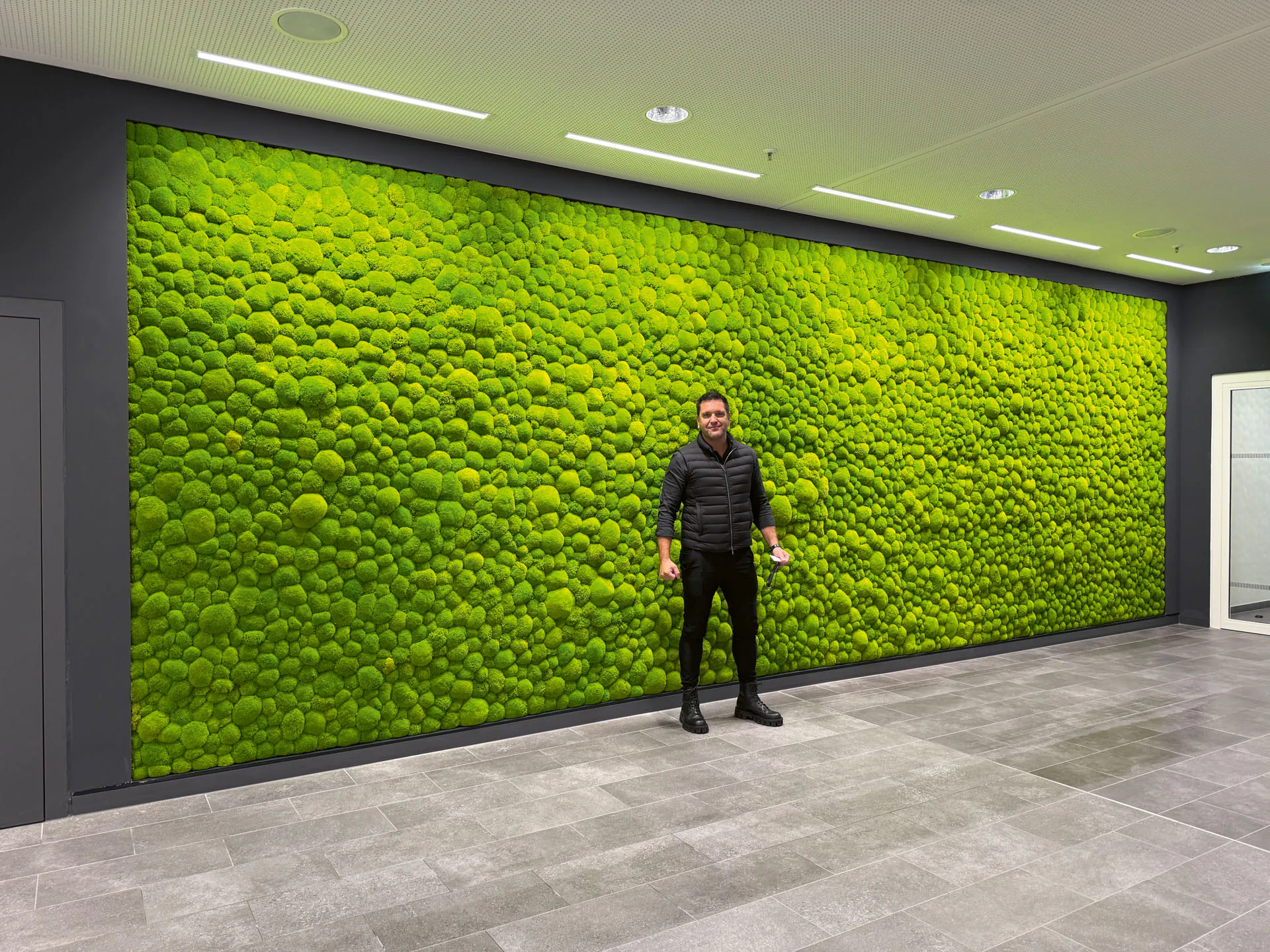 Pole Moss & Bun Moss — Material Structure
