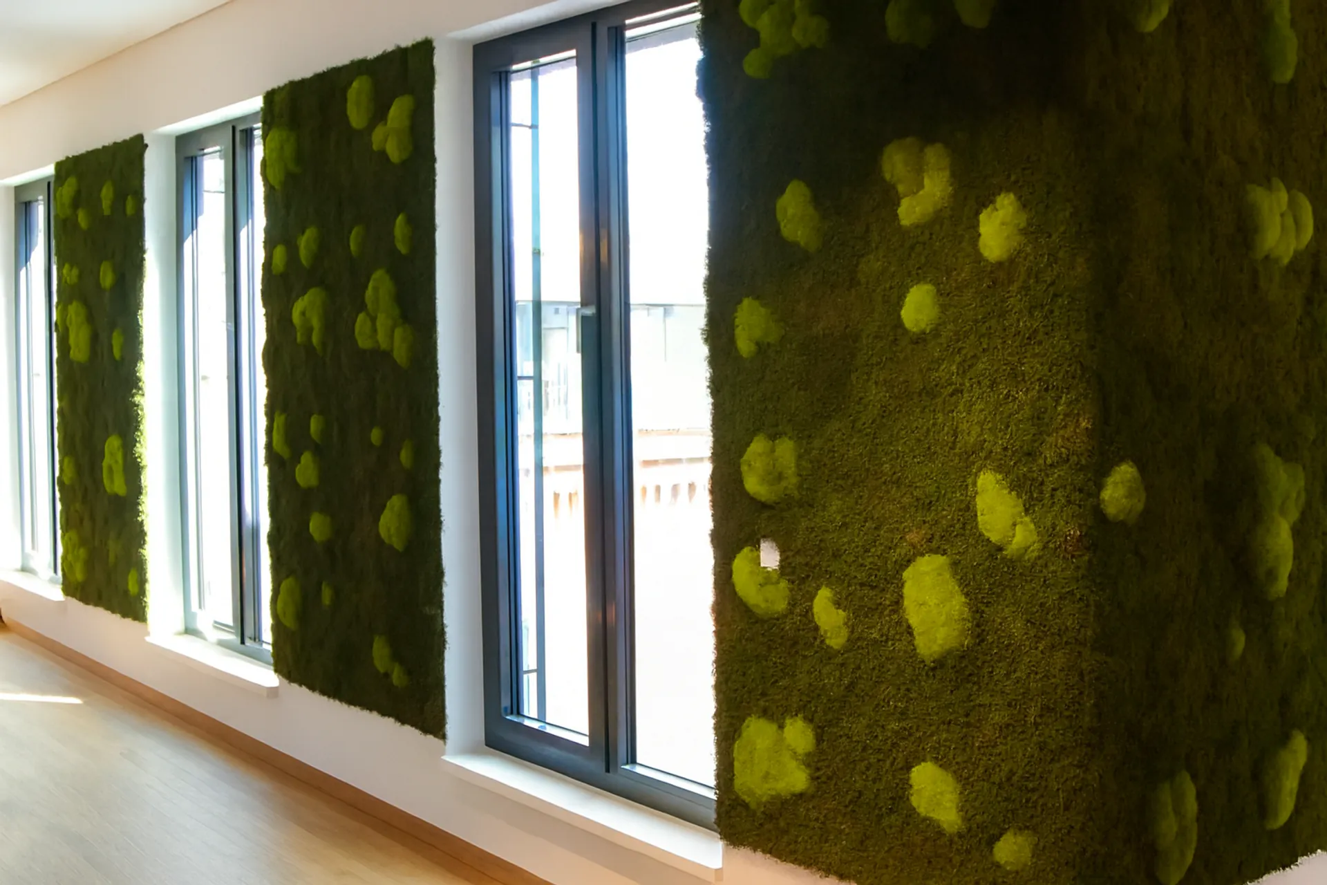 Moss wall for the Office: Modern Window Front — Wall greenery by MOOSMOOS