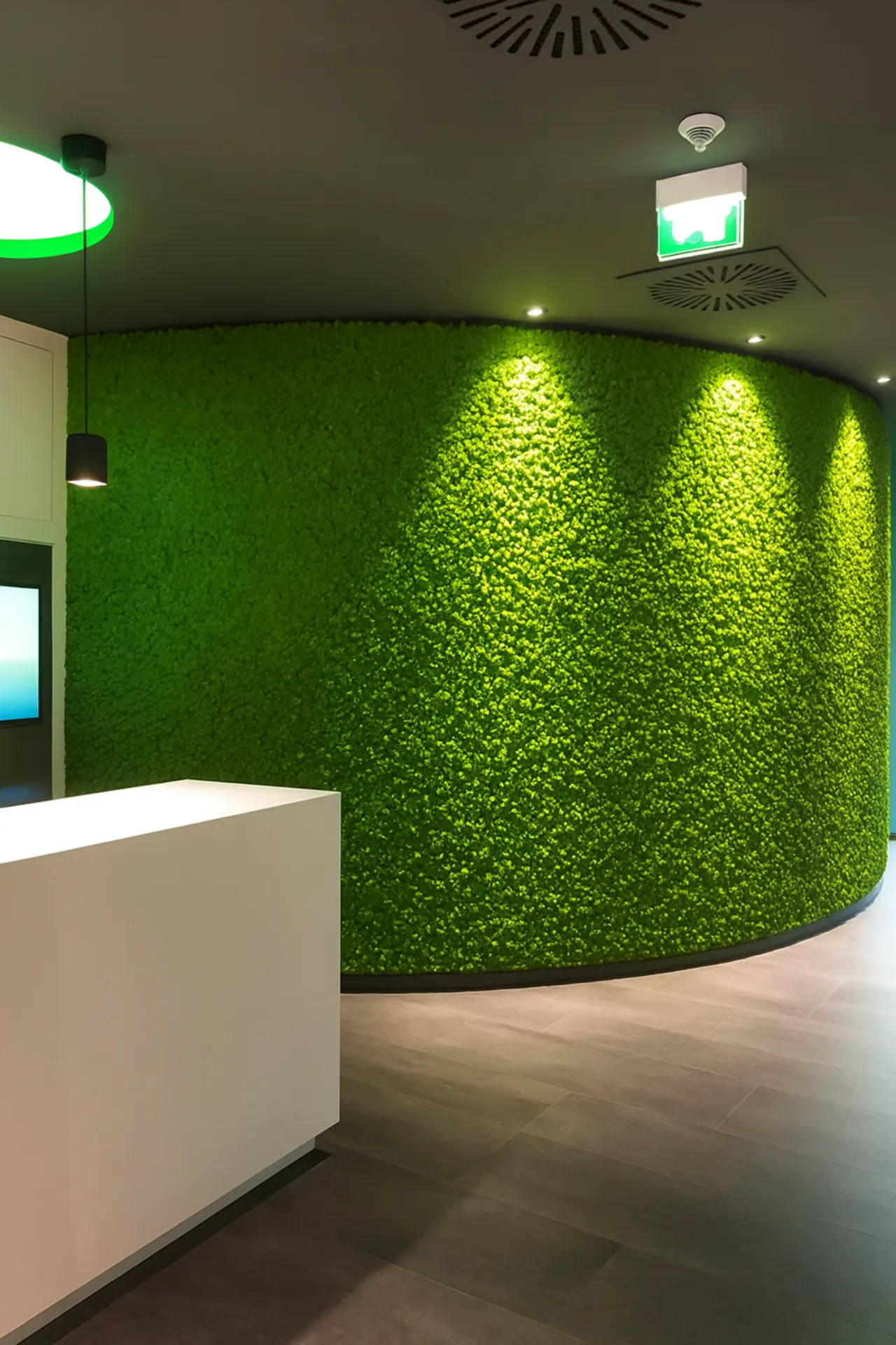 Modern Moss wall for Reception and Office — Wall greenery by MOOSMOOS