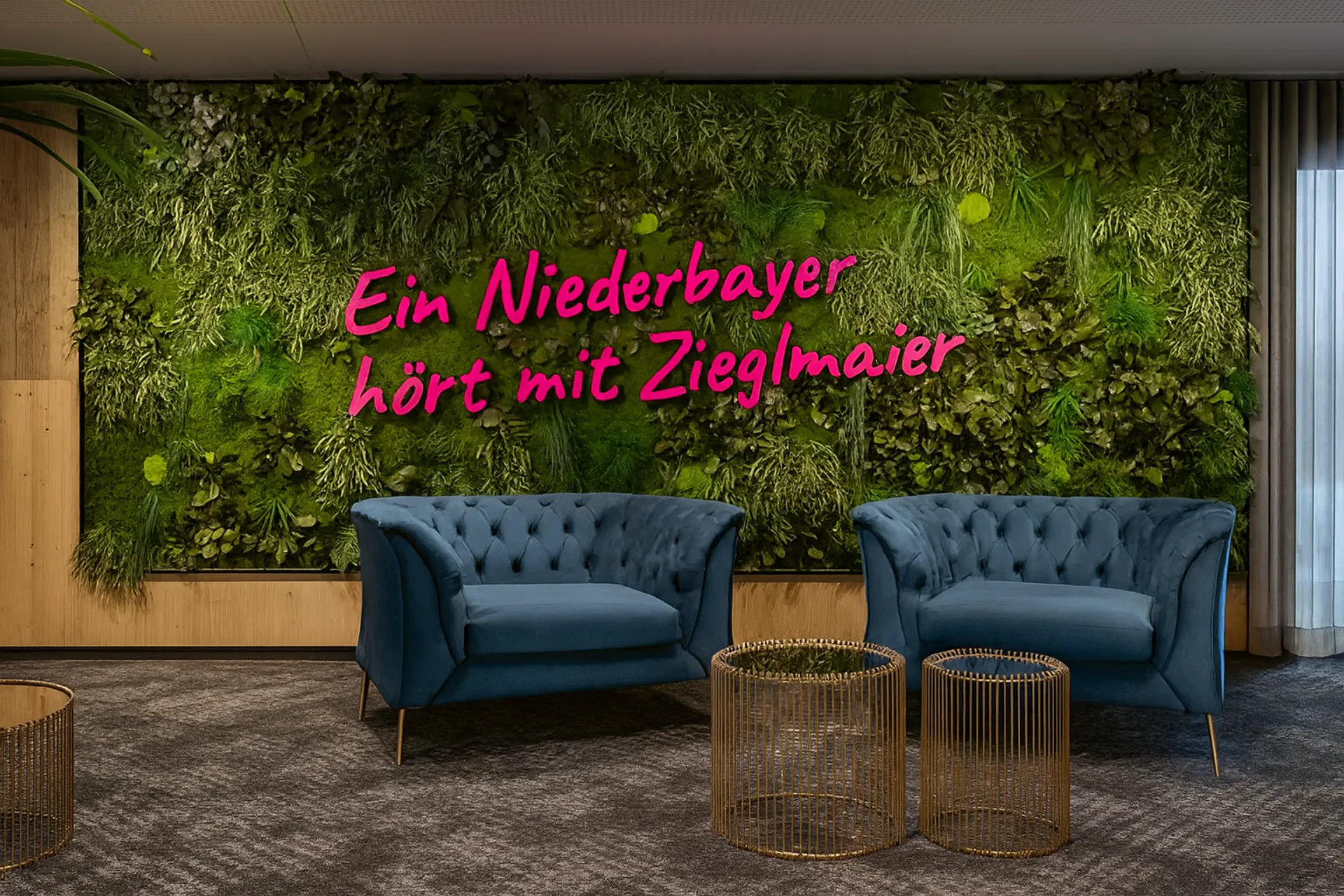 Modern Moss Wall for Reception and Office — Wall greenery by MOOSMOOS