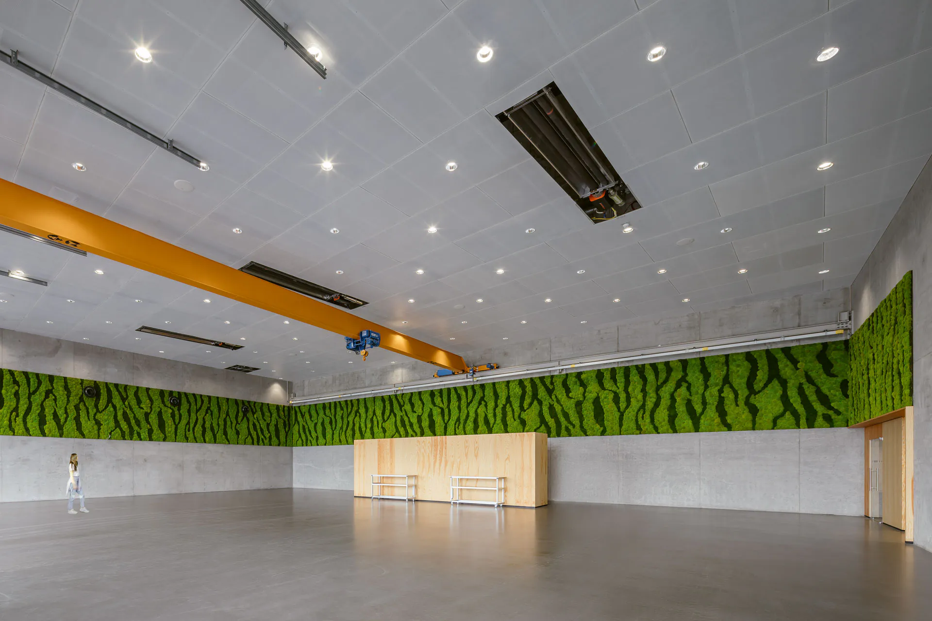 Moss wall Warehouse: Modern Wall Greenery — Wall greenery by MOOSMOOS
