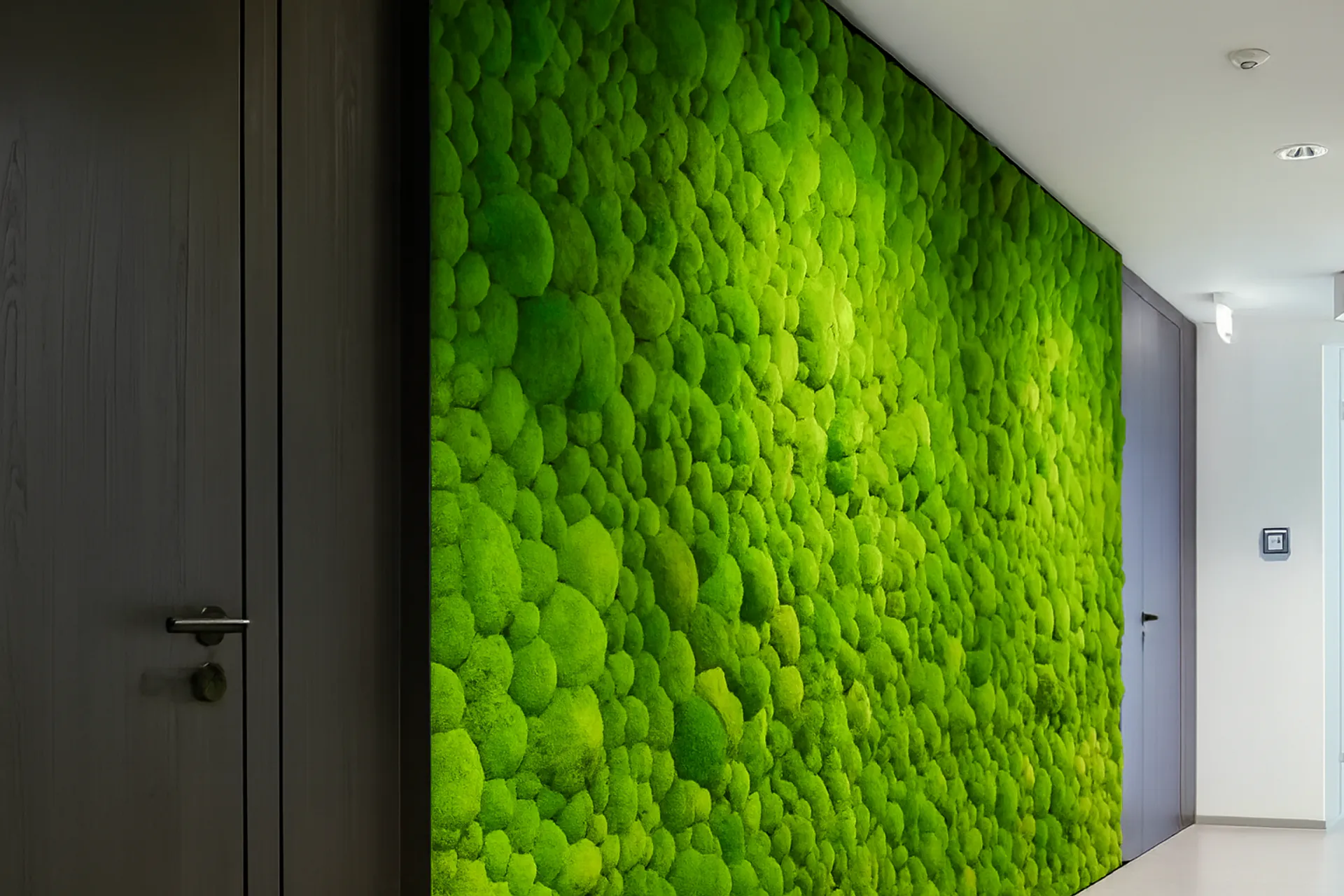 Modern Office Reception Moss wall — Wall greenery by MOOSMOOS