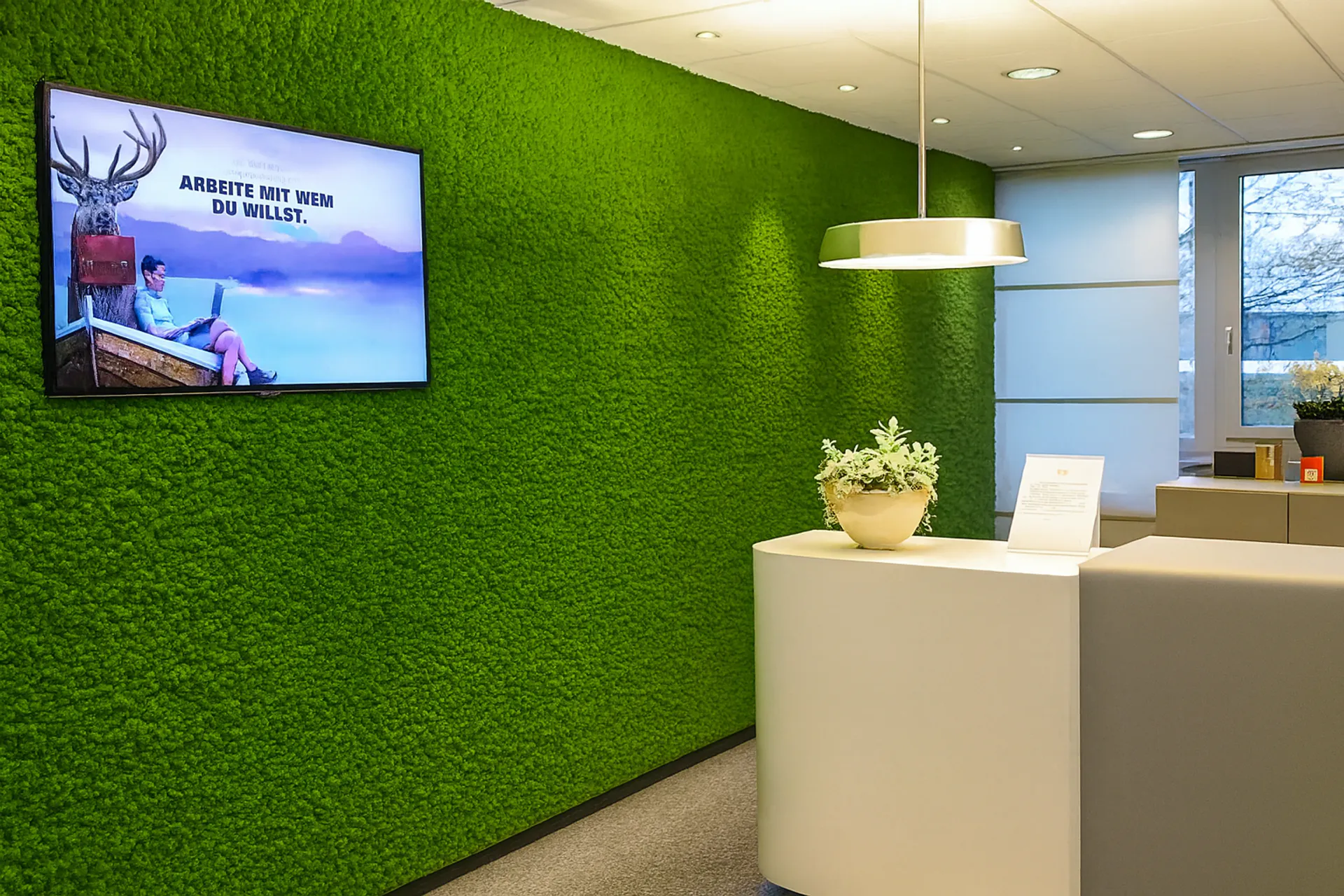 Modern Office Reception Moss wall — Wall greenery by MOOSMOOS