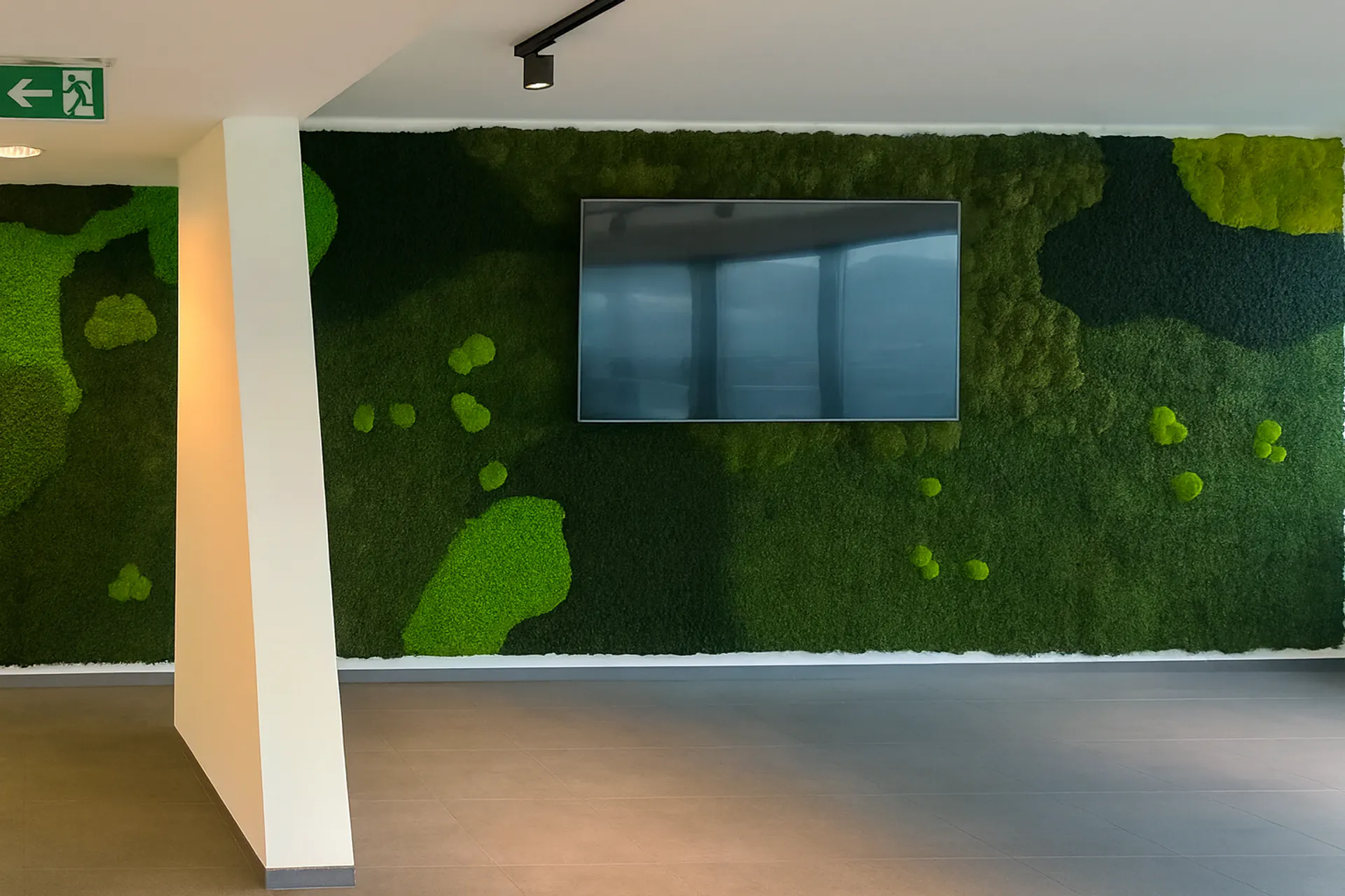 Moss wall: A modern office installation — wall greenery by MOOSMOOS