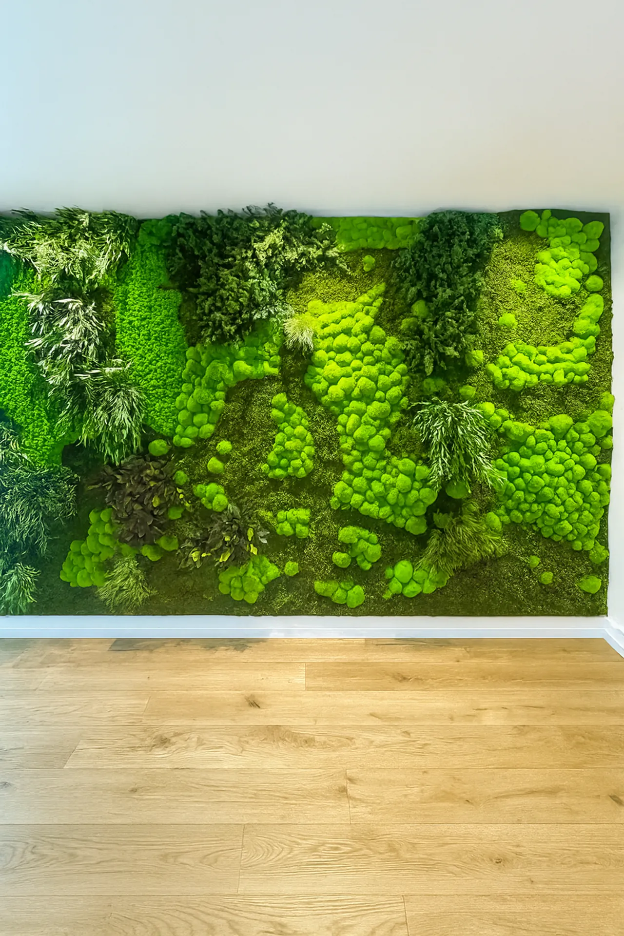 Moss wall Modern Showroom Installation — Wall greenery by MOOSMOOS