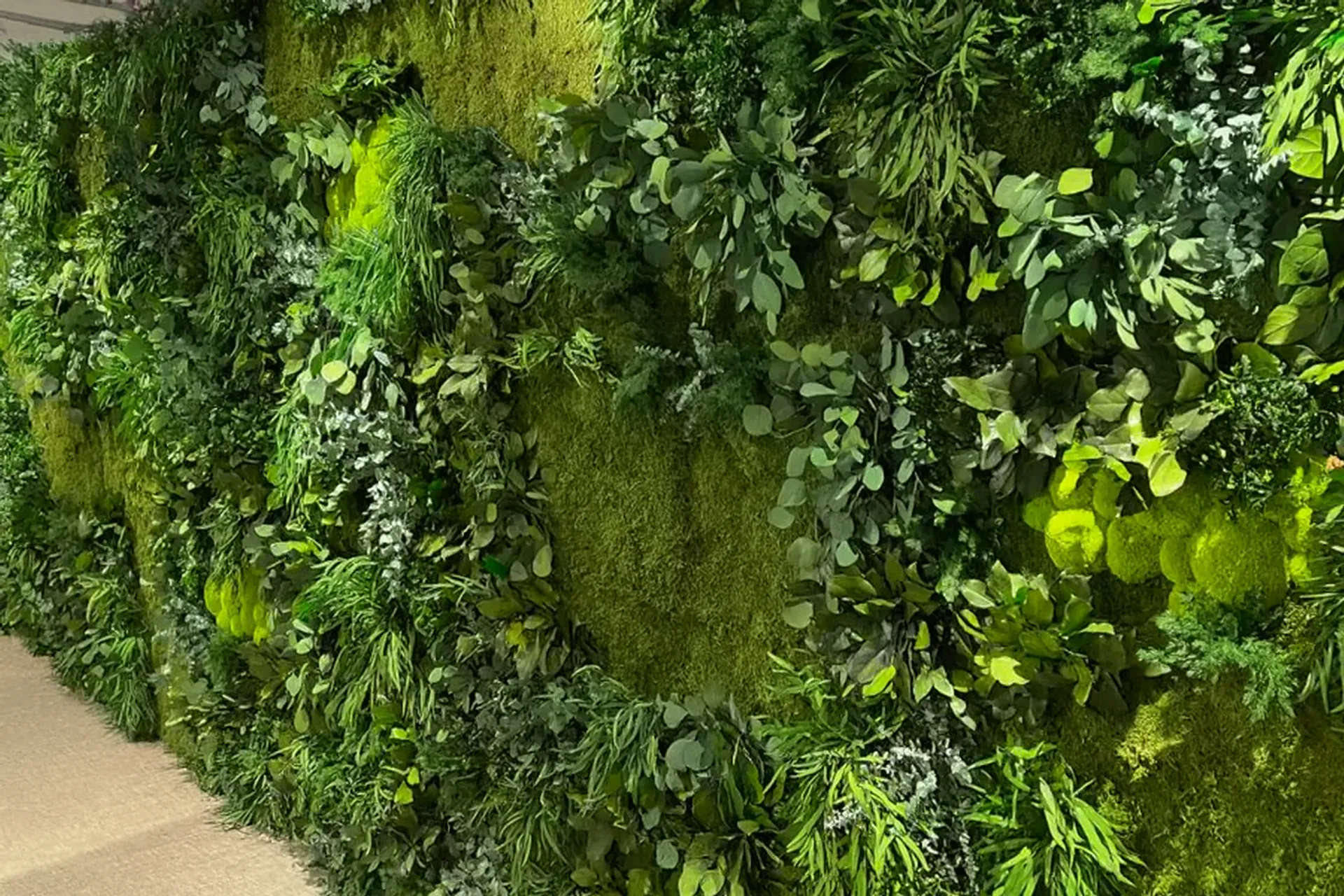 Moss wall Modern Wall greenery Showroom — Wall greenery by MOOSMOOS