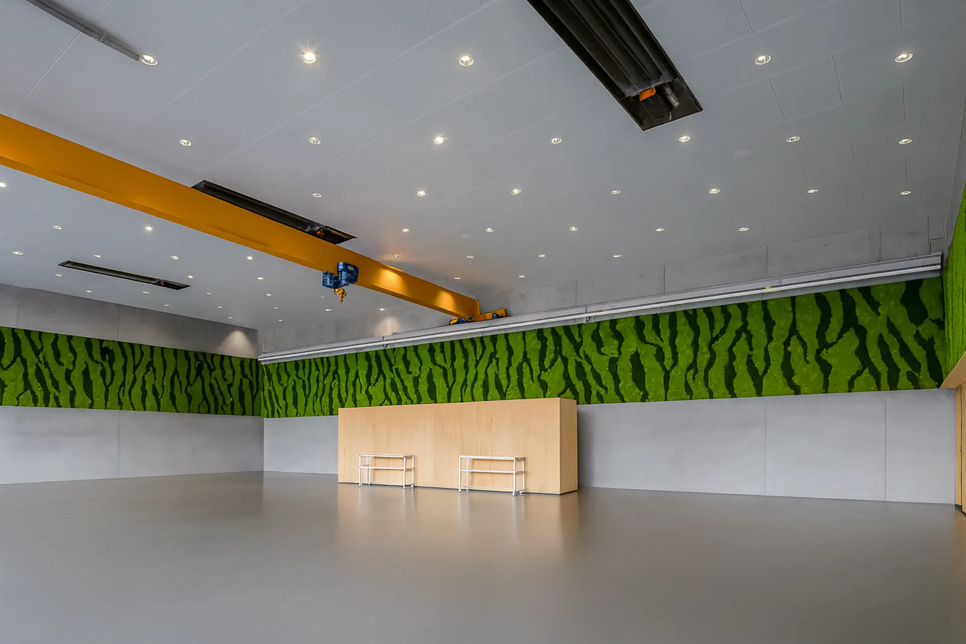 Moss wall in a modern open-plan office — Wall greenery by MOOSMOOS