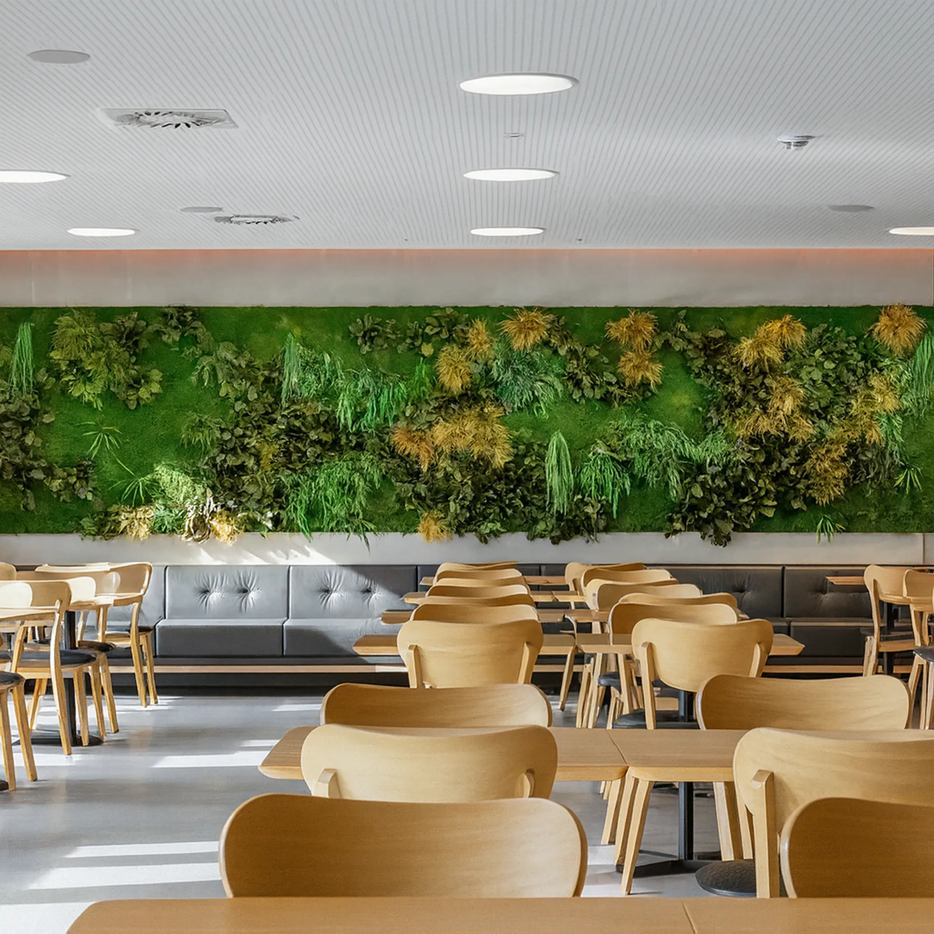 Moss wall in a modern office canteen area — Wall greenery by MOOSMOOS