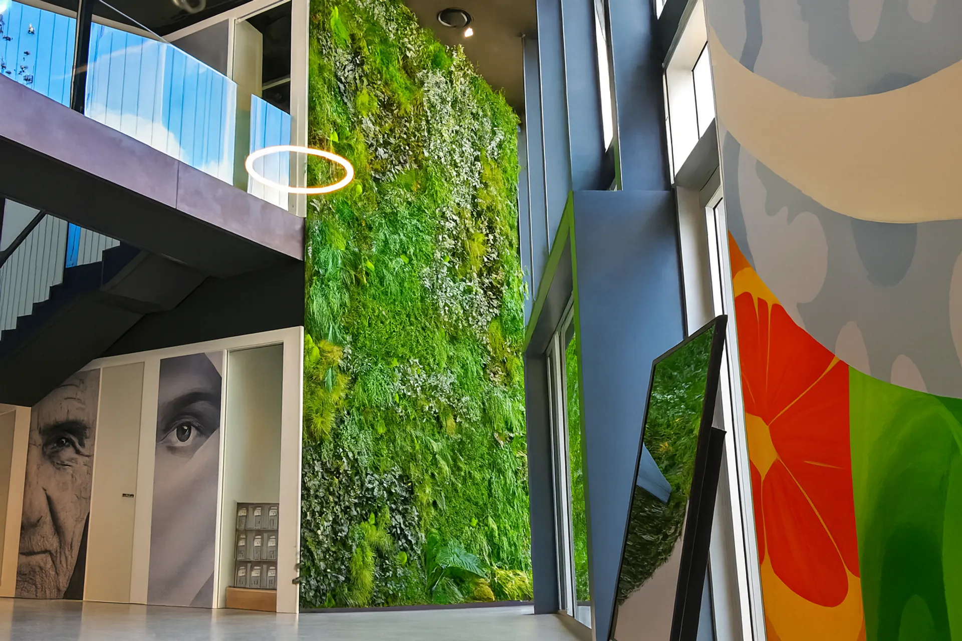 Moss wall Showroom: Multi-storey art installation — Wall greenery by MOOSMOOS