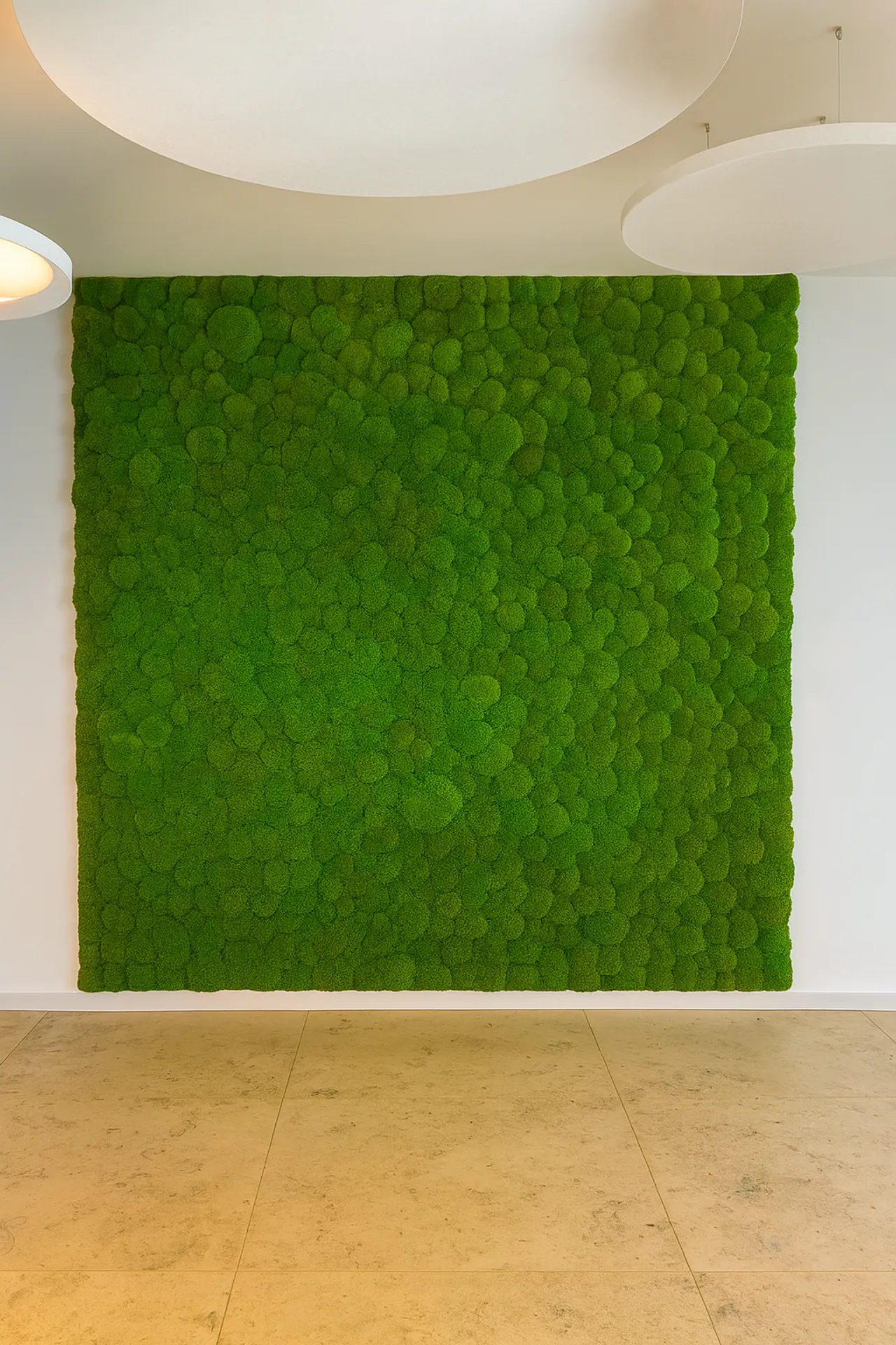Moss wall Showroom: Modern Wall Installation — Wall greenery by MOOSMOOS