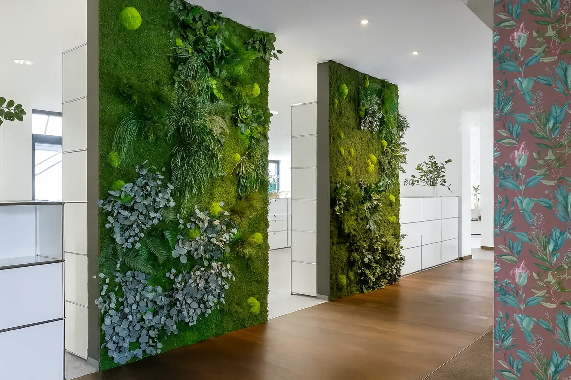 Moss walls room dividers for Offices and Reception Areas — Room Dividers & Acoustics by MOOSMOOS