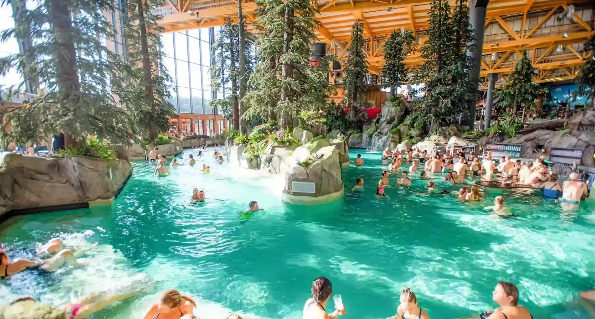 XXL artificial conifer in the indoor swimming pool — ArtTree artificial tree suitable for damp environments