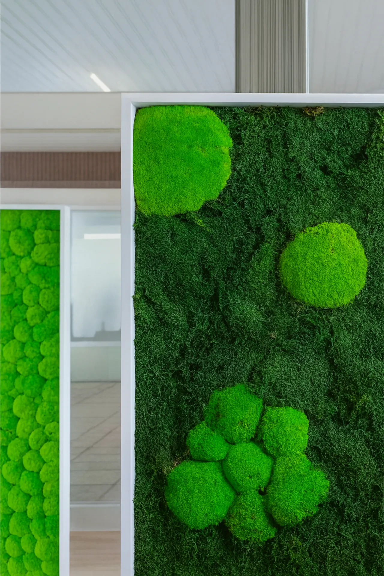 Modern Office Room Dividers — Room Dividers & Acoustics by MOOSMOOS