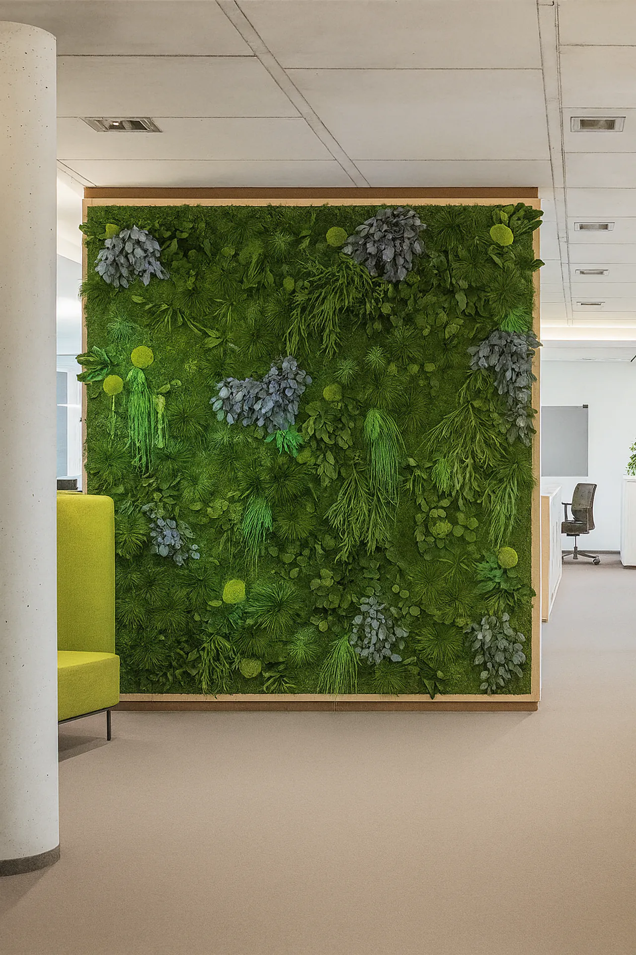 Maintenance-free moss acoustic wall and room divider made from preserved moss in the office