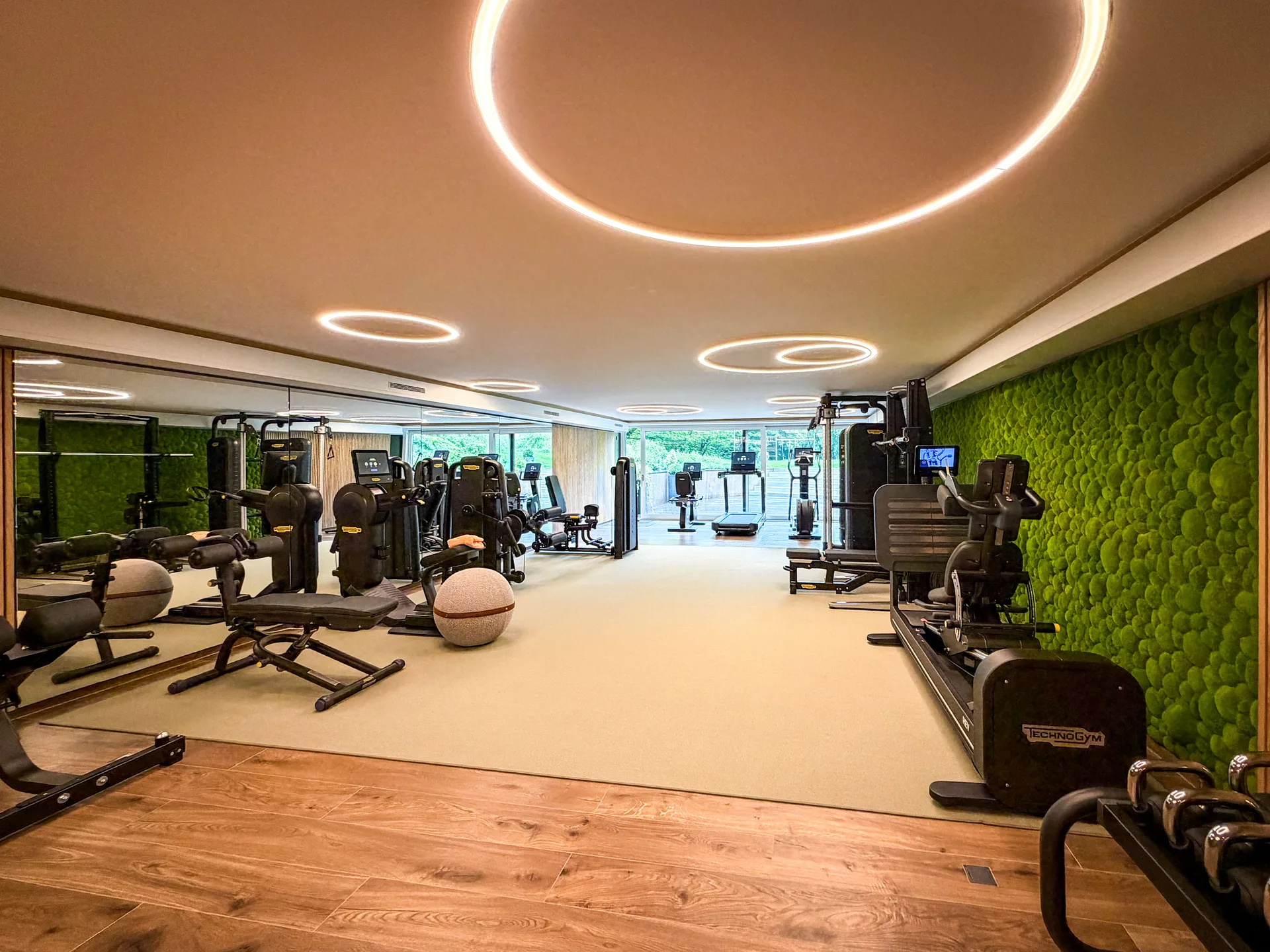 Moss wall at the gym: Large moss area, natural light — Wall greenery by MOOSMOOS