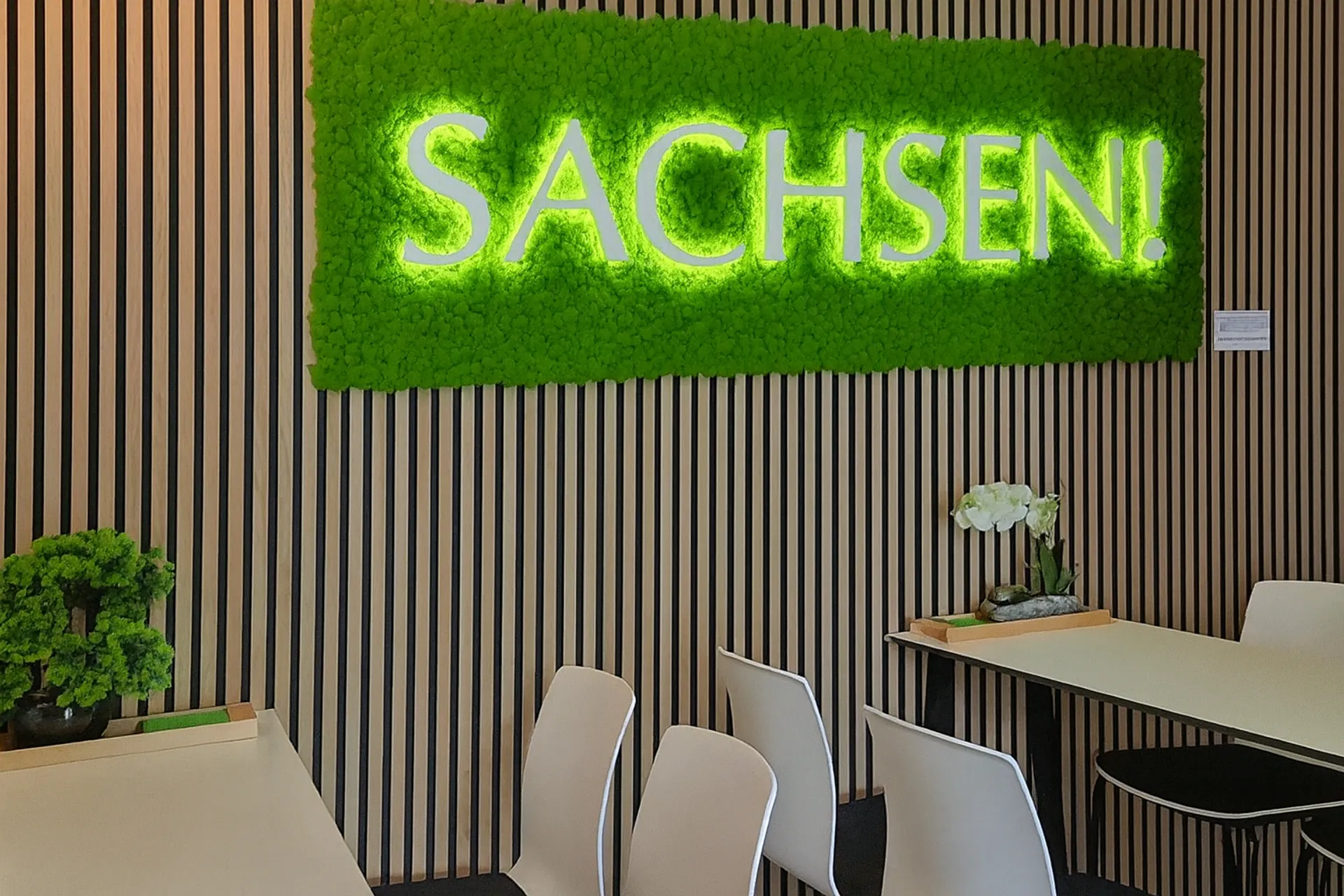 Moss Logo – Office Reception Neon Logo — Moss Logo by MOOSMOOS