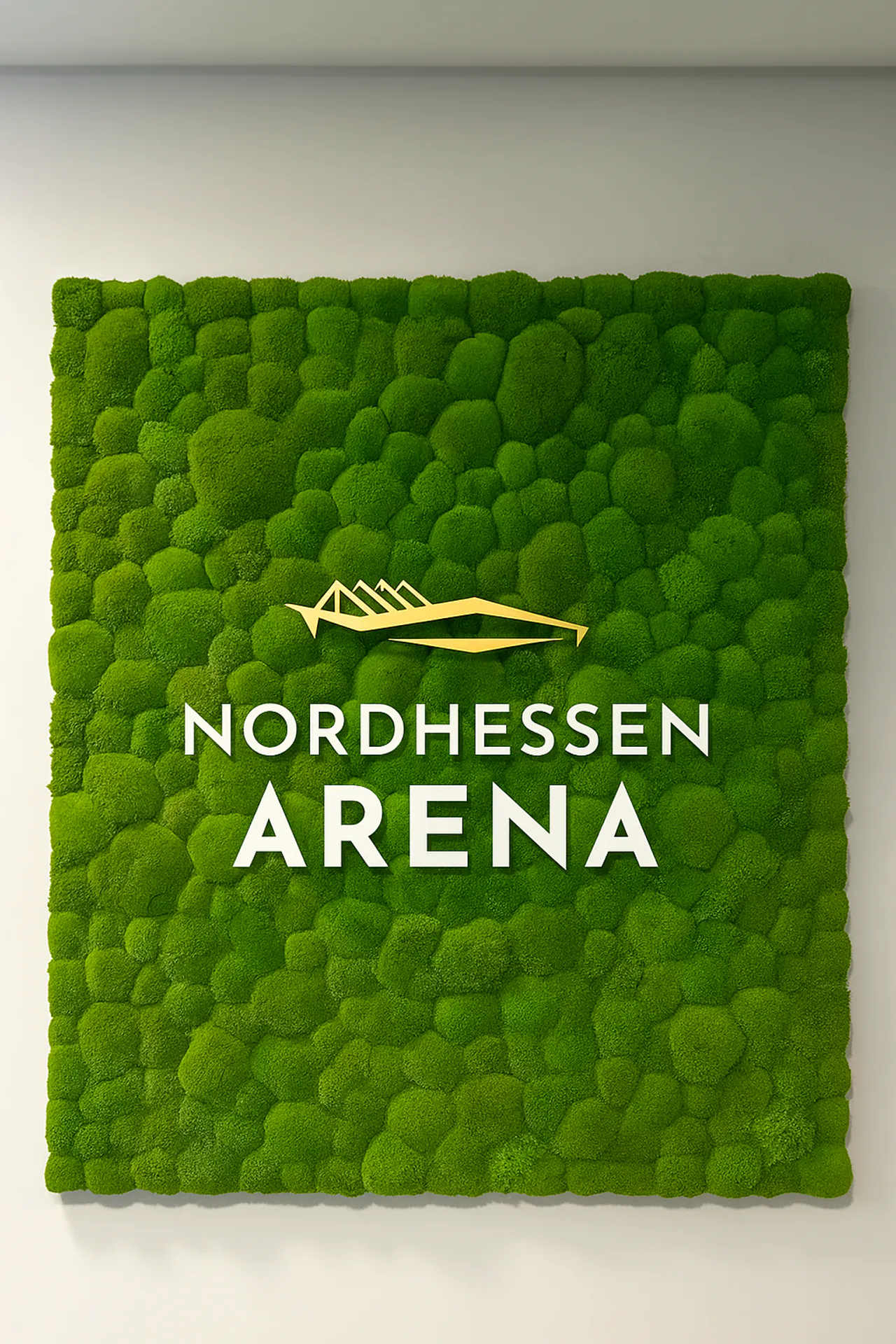 Logo from Moos: Nordhessen Arena Logo Moos — Logo from Moos by MOOSMOOS